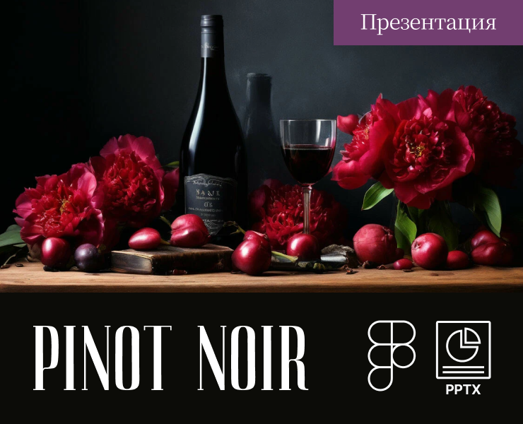 Презентация о сорте винограда Pinot Noir на Dprofile