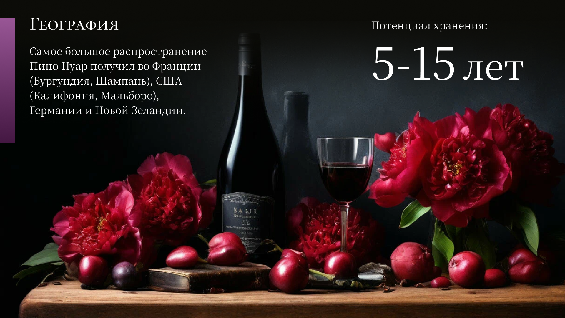 Презентация о сорте винограда Pinot Noir — Изображение №3 — Графика, Маркетинг на Dprofile