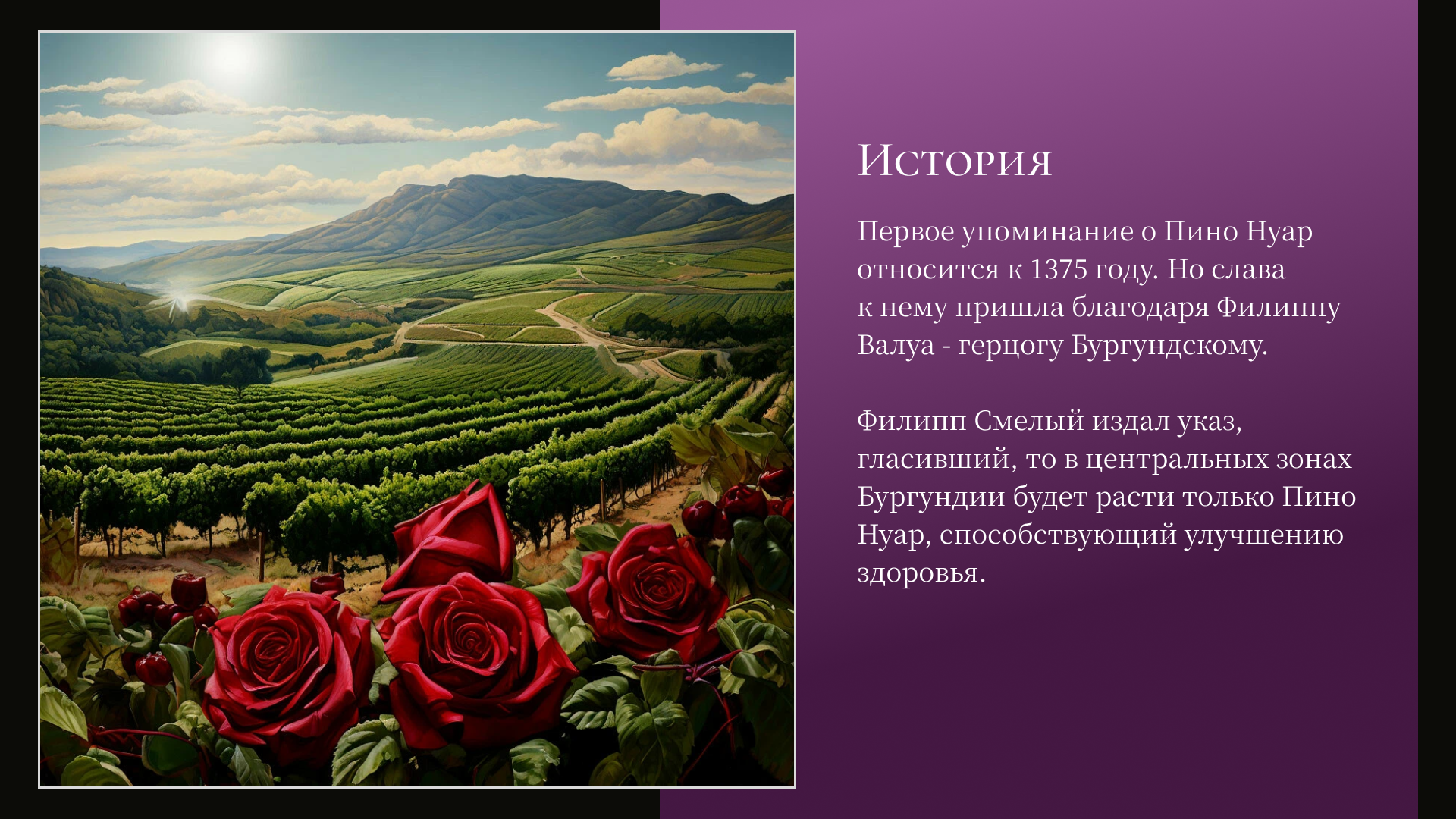 Презентация о сорте винограда Pinot Noir — Изображение №4 — Графика, Маркетинг на Dprofile