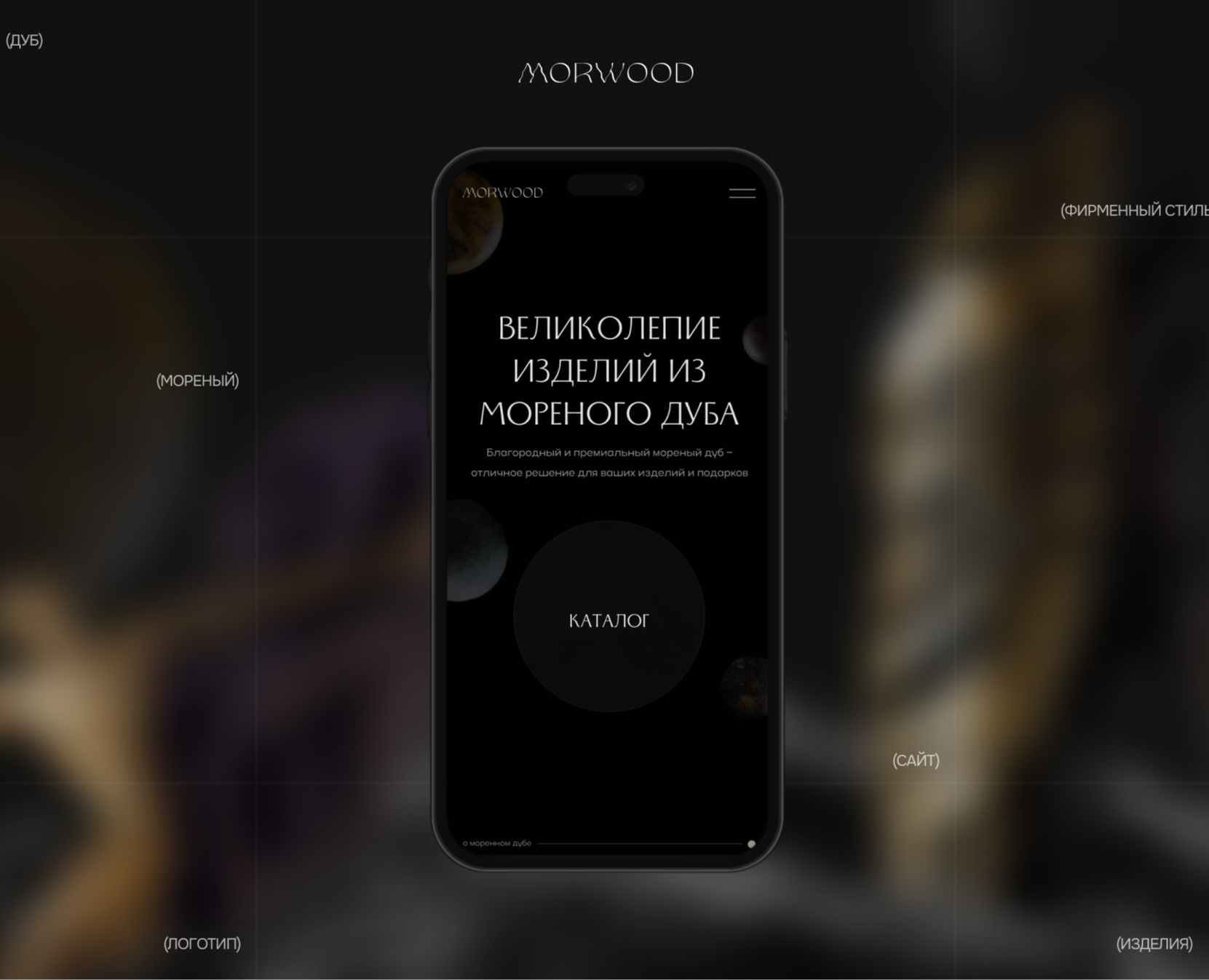Morwood – брендинг и разработка сайта на Dprofile