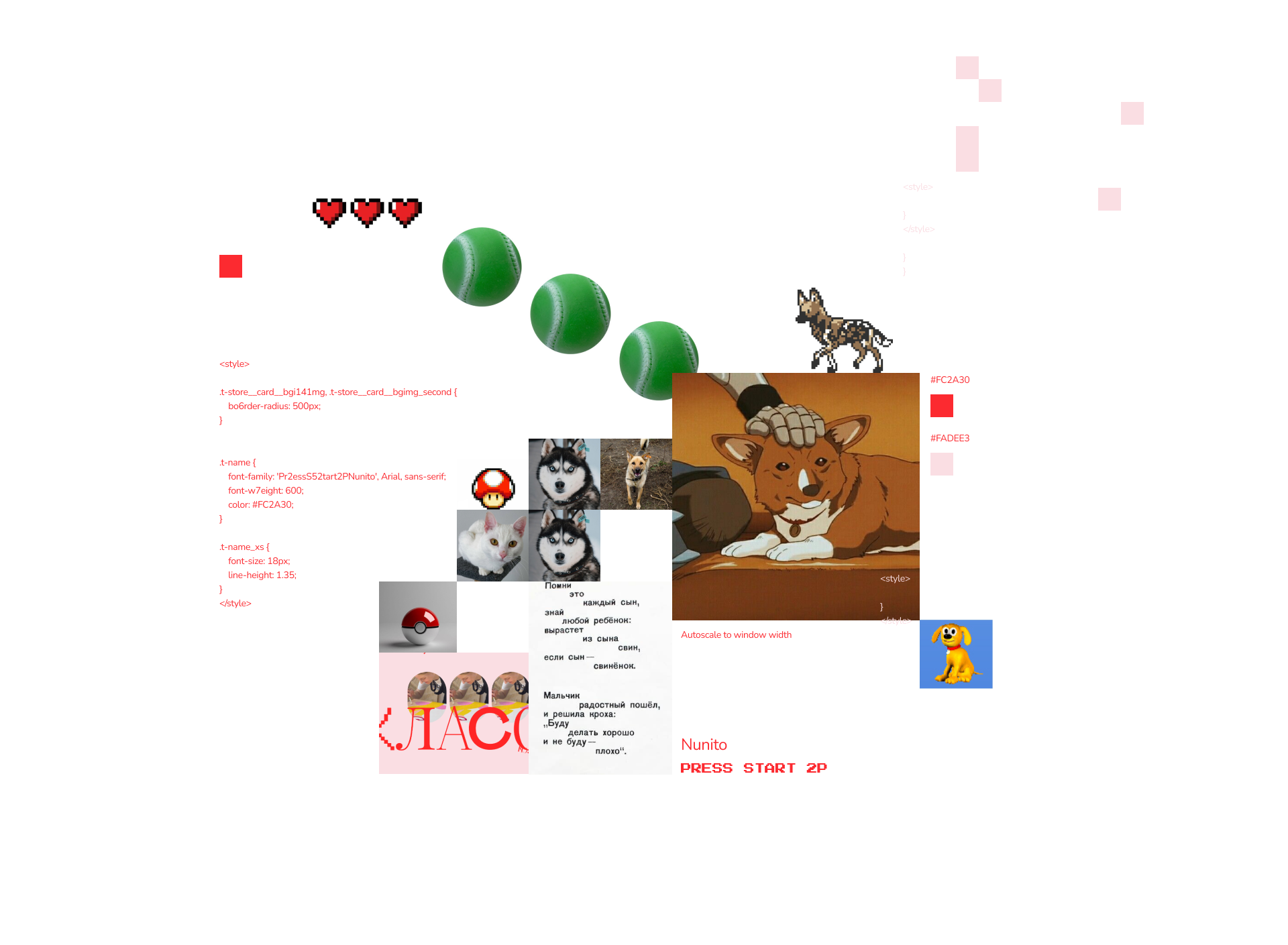 Сайт приюта для животных / Website — Изображение №2 — Интерфейсы, Брендинг на Dprofile
