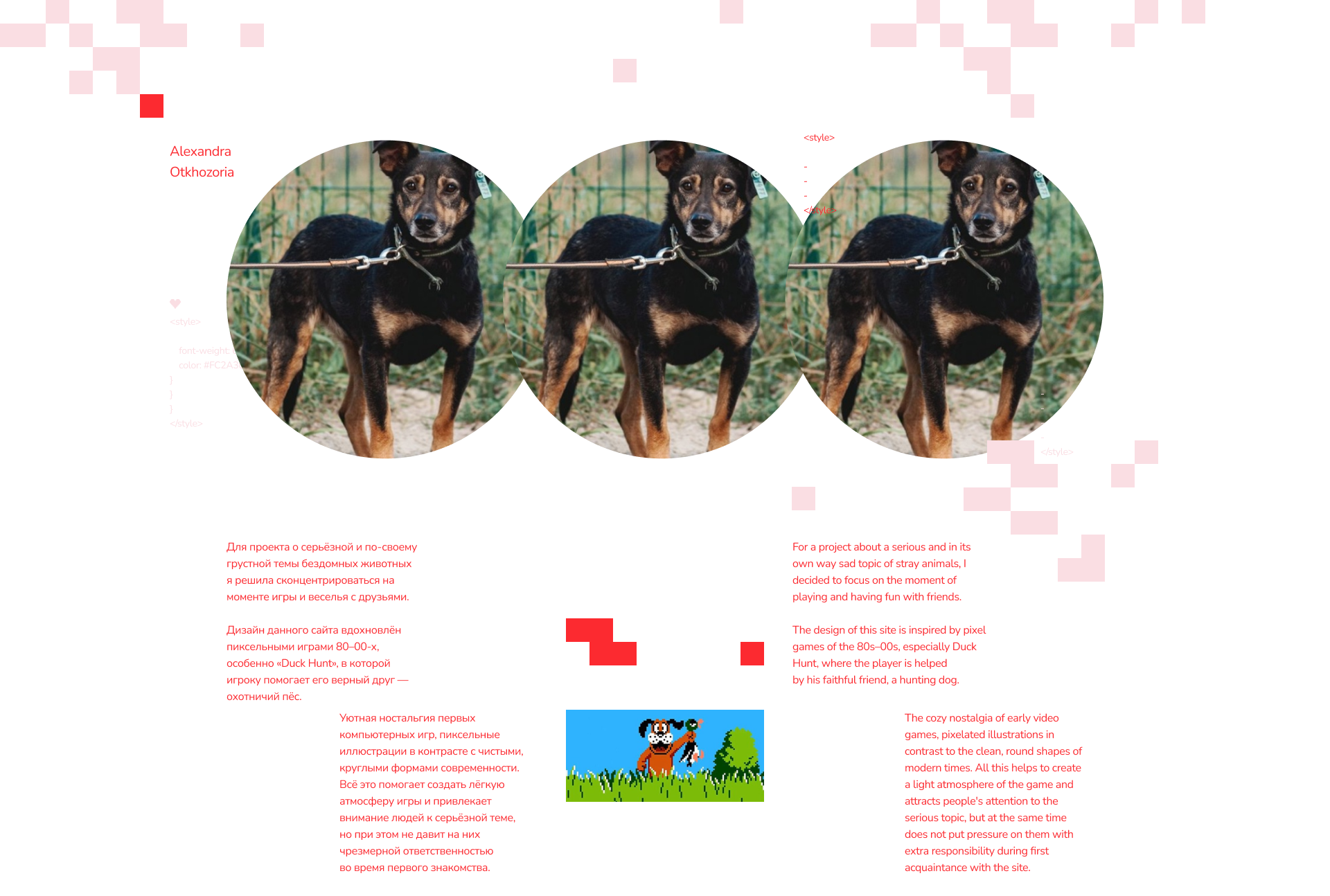 Сайт приюта для животных / Website — Изображение №1 — Интерфейсы, Брендинг на Dprofile
