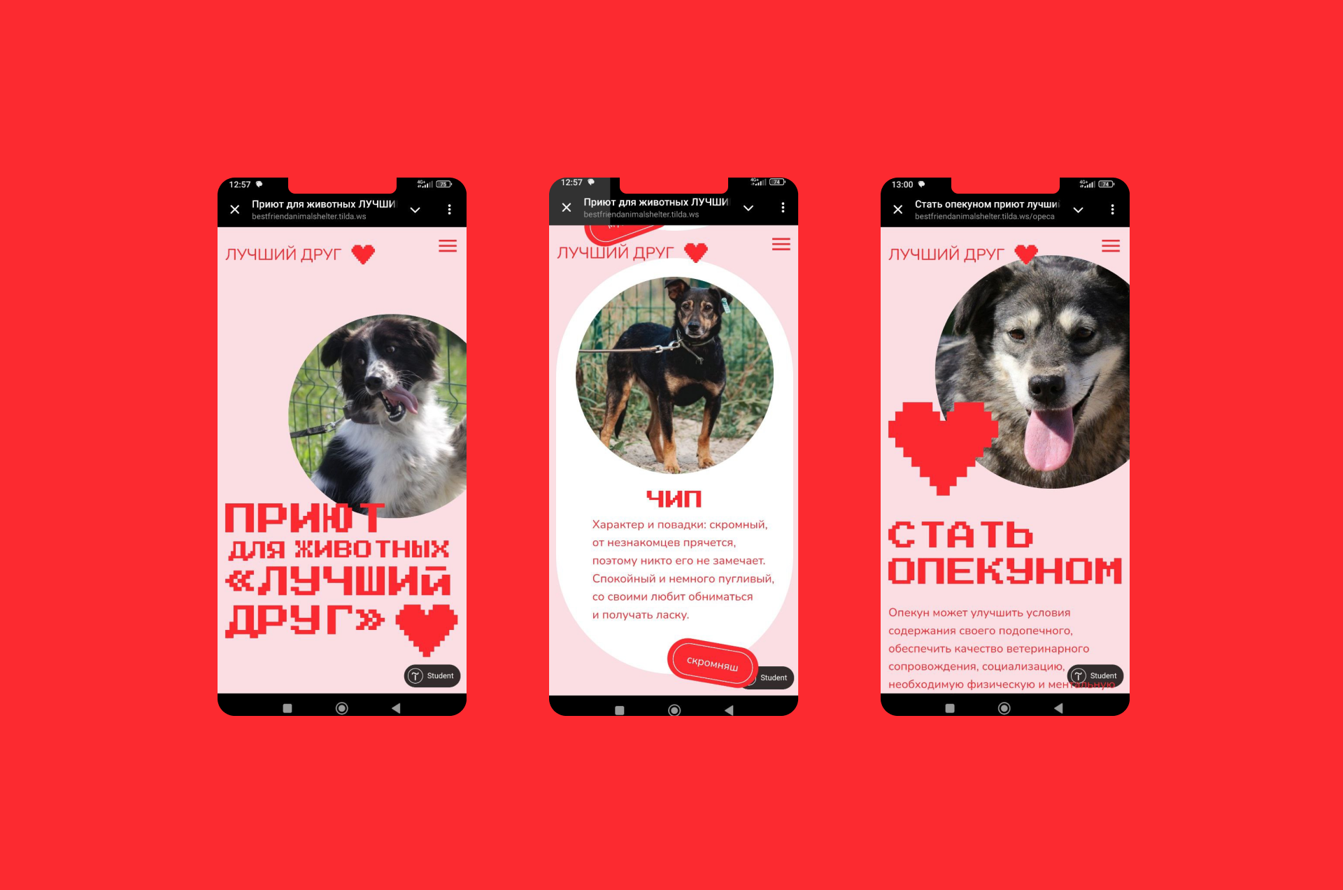 Сайт приюта для животных / Website — Изображение №6 — Интерфейсы, Брендинг на Dprofile