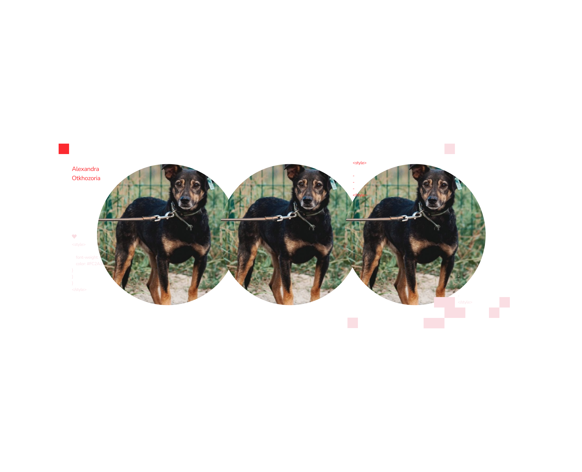 Сайт приюта для животных / Website — Интерфейсы, Брендинг на Dprofile