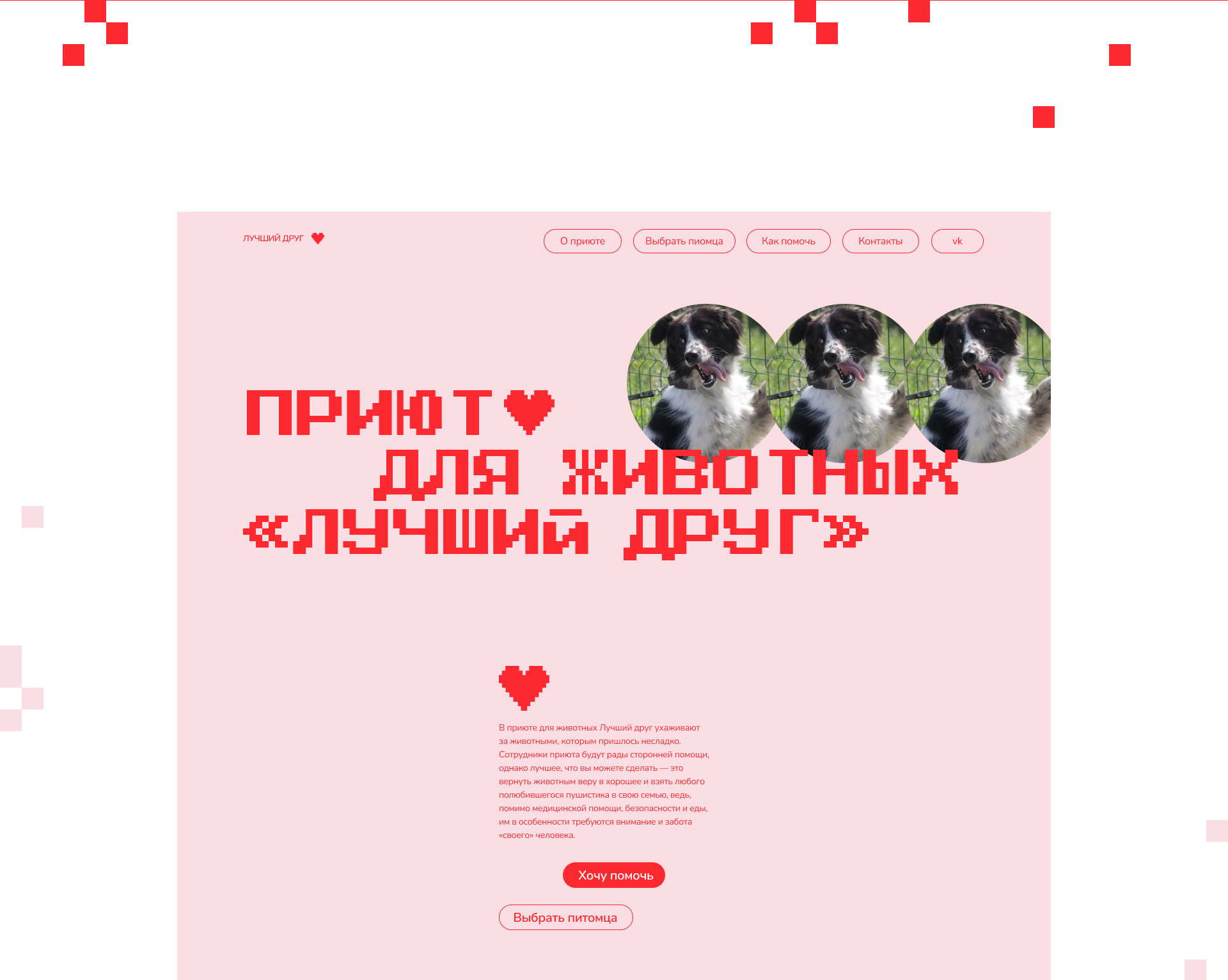 Сайт приюта для животных / Website — Изображение №7 — Интерфейсы, Брендинг на Dprofile