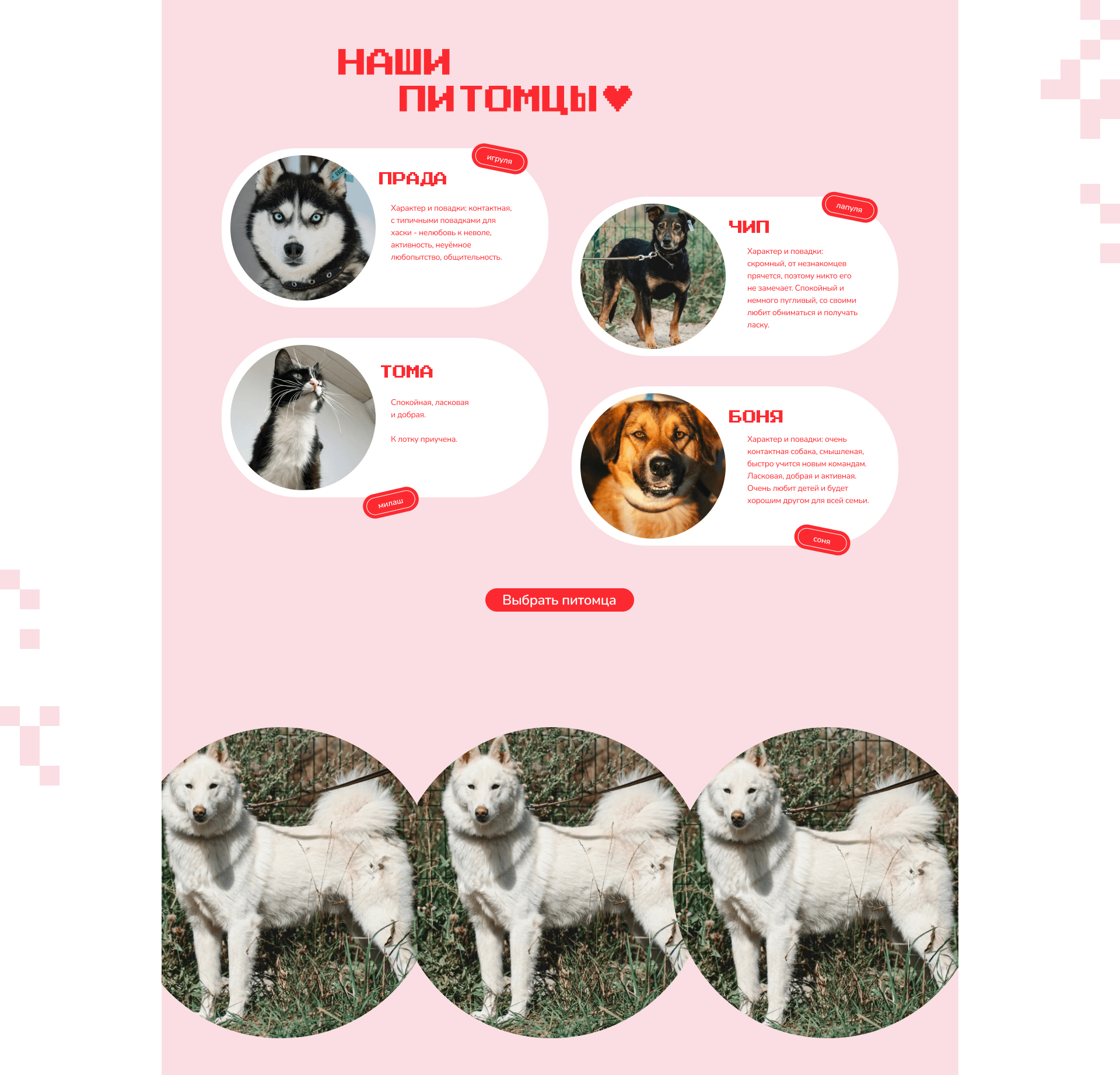 Сайт приюта для животных / Website — Изображение №8 — Интерфейсы, Брендинг на Dprofile