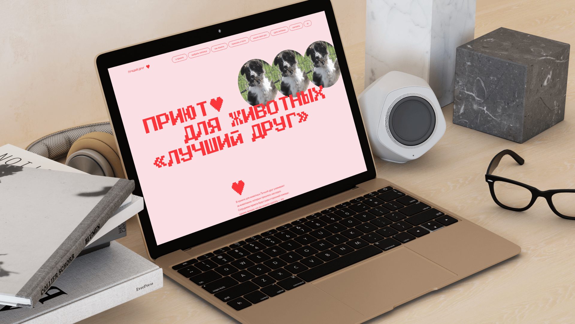 Сайт приюта для животных / Website — Изображение №3 — Интерфейсы, Брендинг на Dprofile