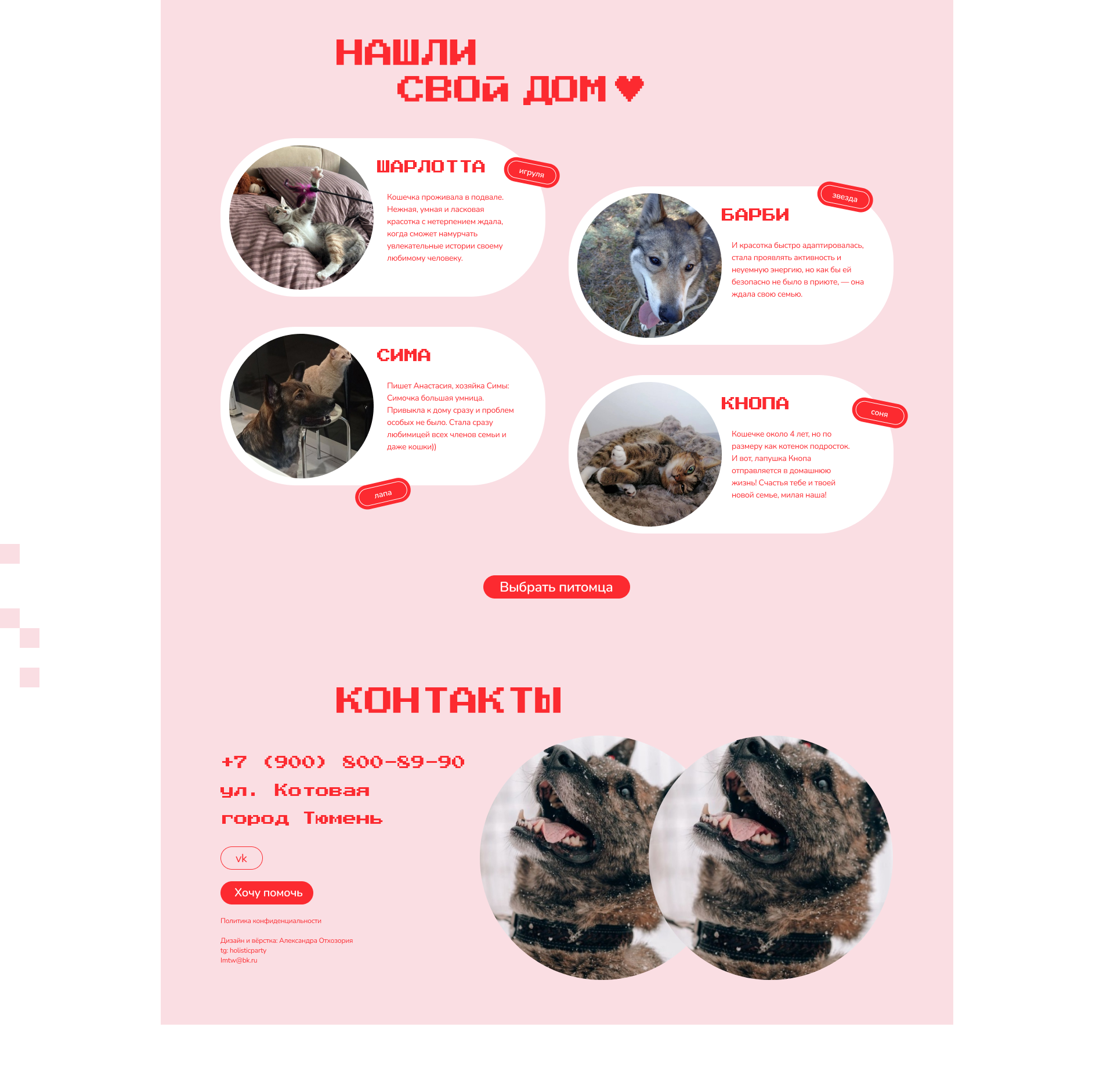 Сайт приюта для животных / Website — Изображение №11 — Интерфейсы, Брендинг на Dprofile