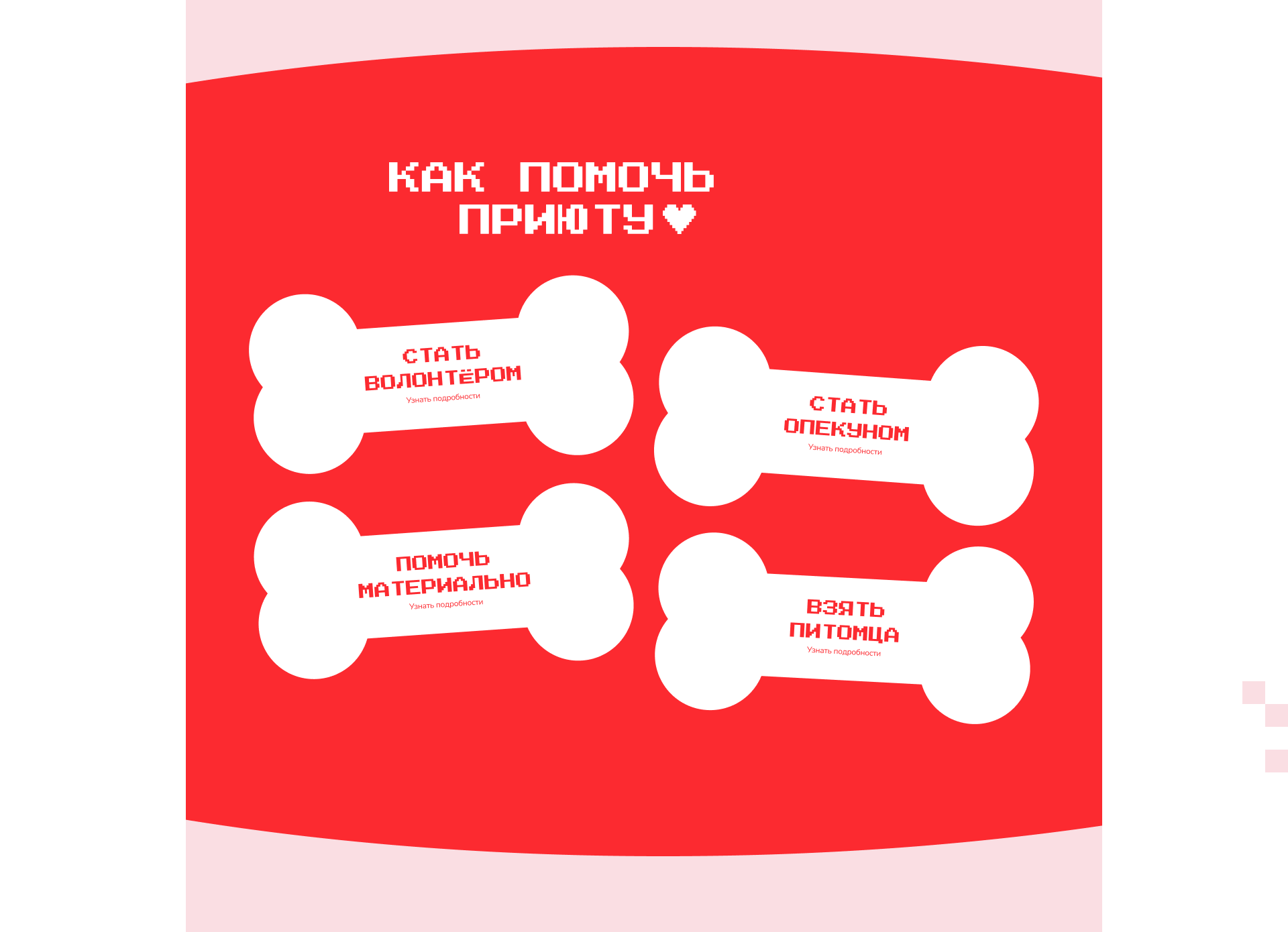 Сайт приюта для животных / Website — Изображение №9 — Интерфейсы, Брендинг на Dprofile