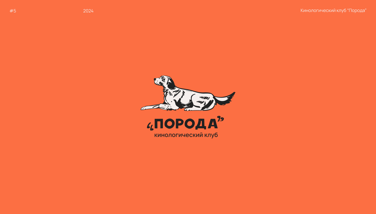 Логофолио 2024 — Изображение №10 — Брендинг, Иллюстрация на Dprofile