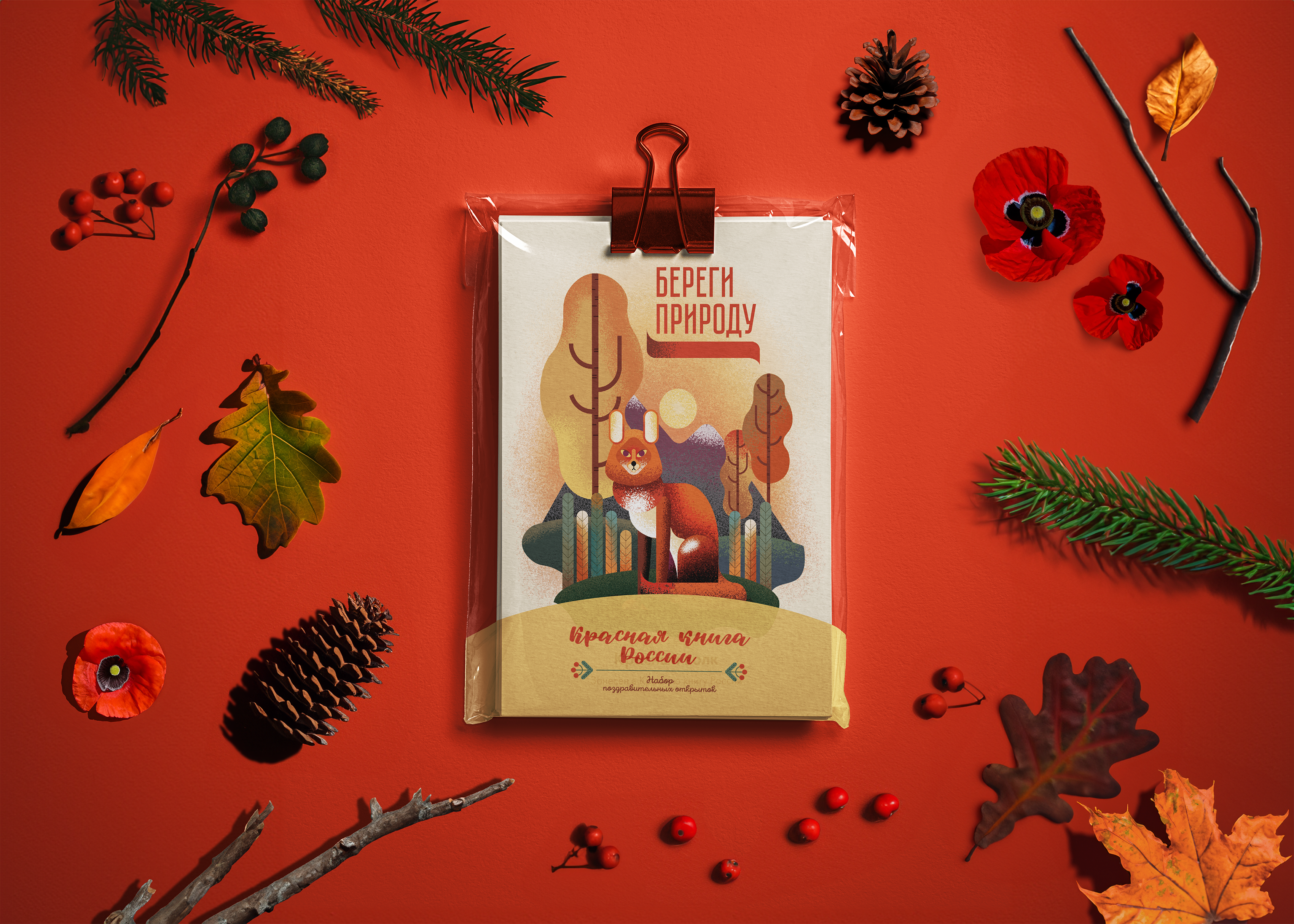 Серия открыток "Красная книга России" — Изображение №2 — Иллюстрация, Графика на Dprofile