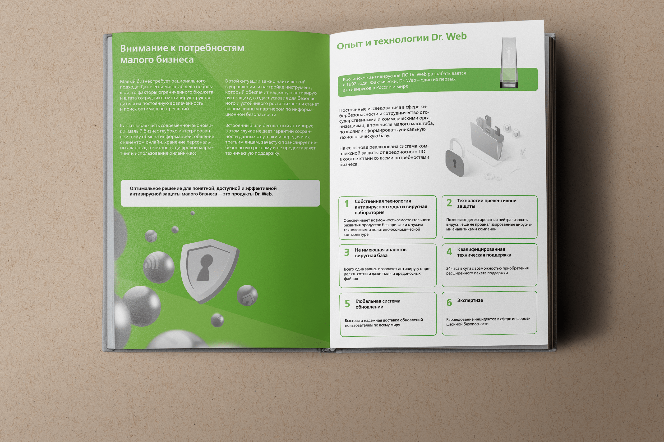 Brochure layout for Dr. Web — Изображение №1 — Маркетинг на Dprofile