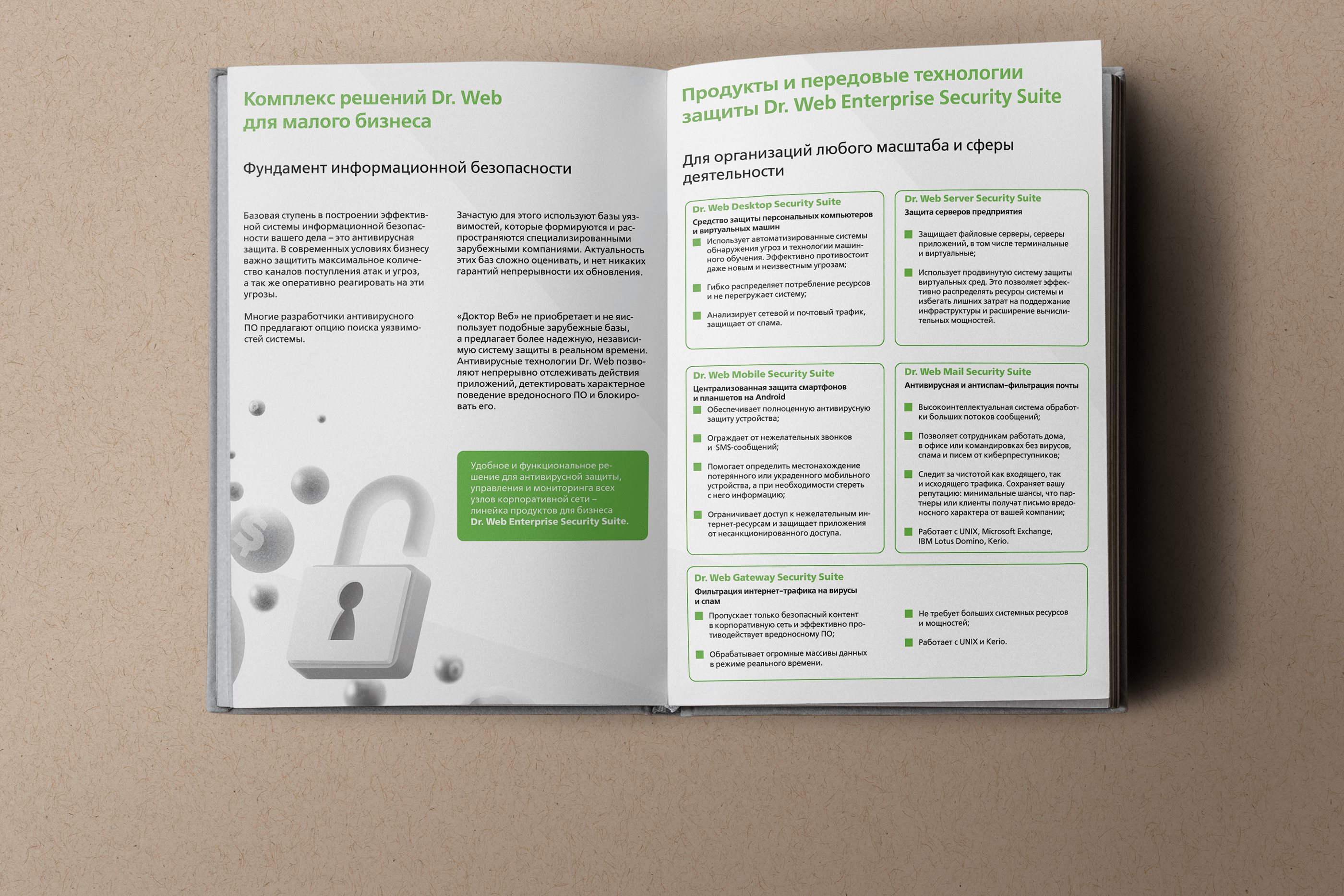 Brochure layout for Dr. Web — Изображение №2 — Маркетинг на Dprofile