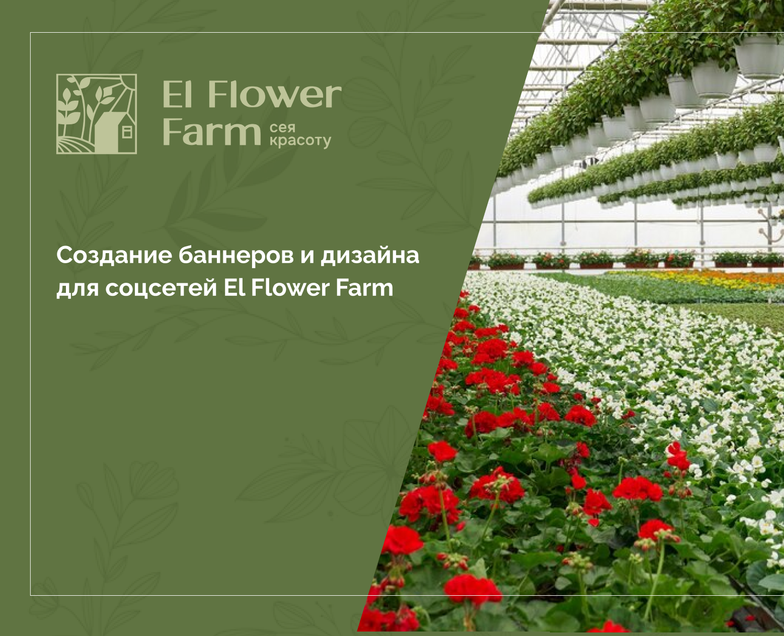 El Flower Farm — Маркетинг на Dprofile