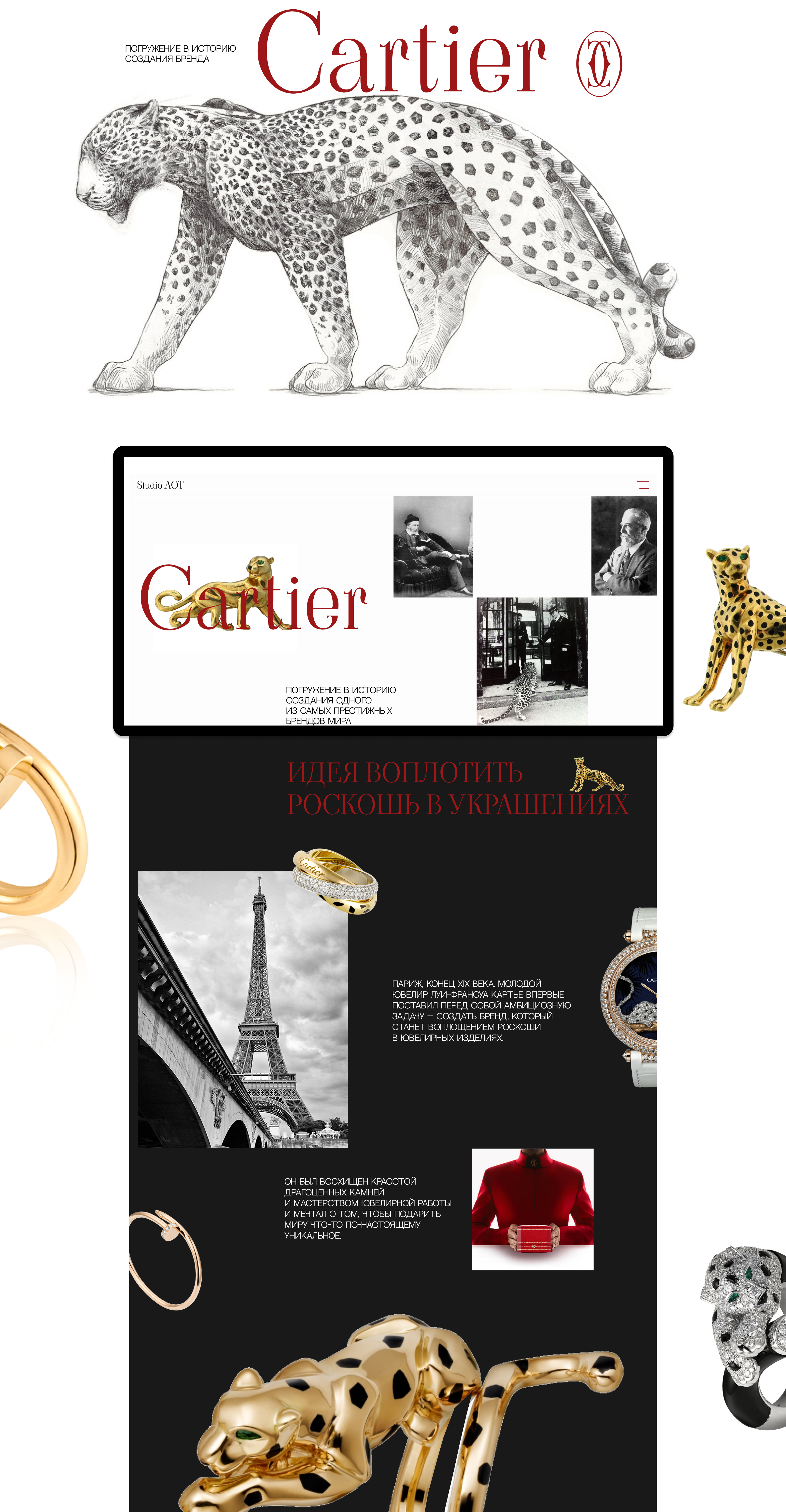 Фестивальный проект Cartier — Изображение №1 — Интерфейсы на Dprofile