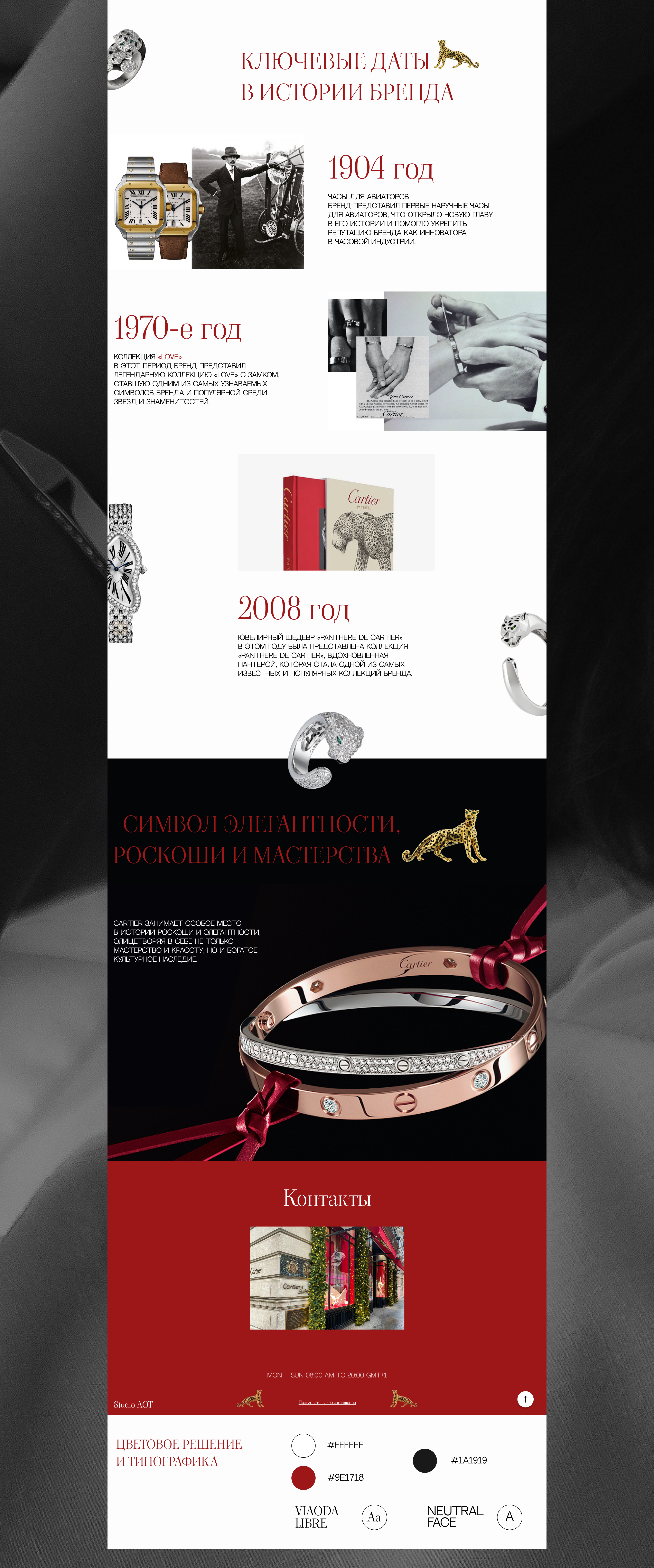 Фестивальный проект Cartier — Изображение №3 — Интерфейсы на Dprofile