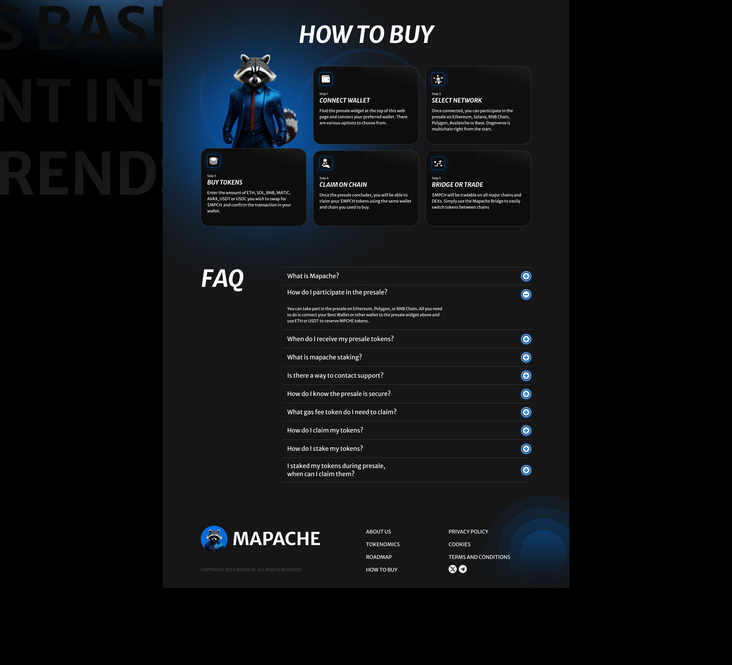 Mapache | Pre-sale landing page — Изображение №7 — Интерфейсы на Dprofile