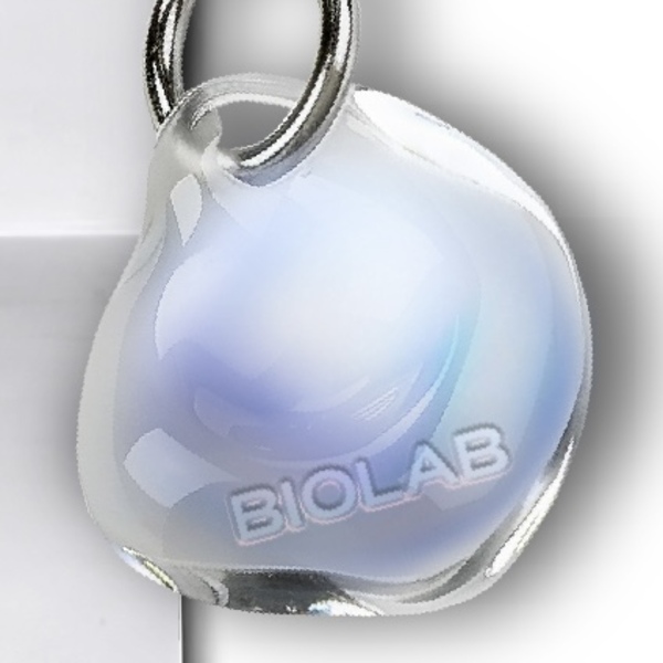 BIOLAB/ АЙДЕНТИКА ДЛЯ БРЕНДА УХОДОВОЙ КОСМЕТИКИ — Изображение №24 — Брендинг на Dprofile
