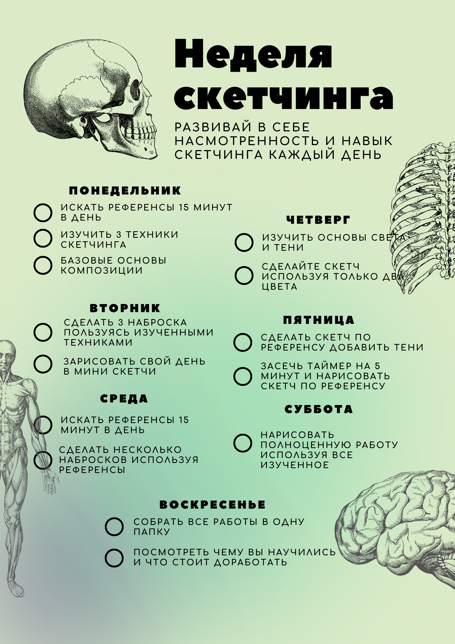 Чек-лист и инфографика в тематике "Скетчинг" — Изображение №1 — Графика на Dprofile