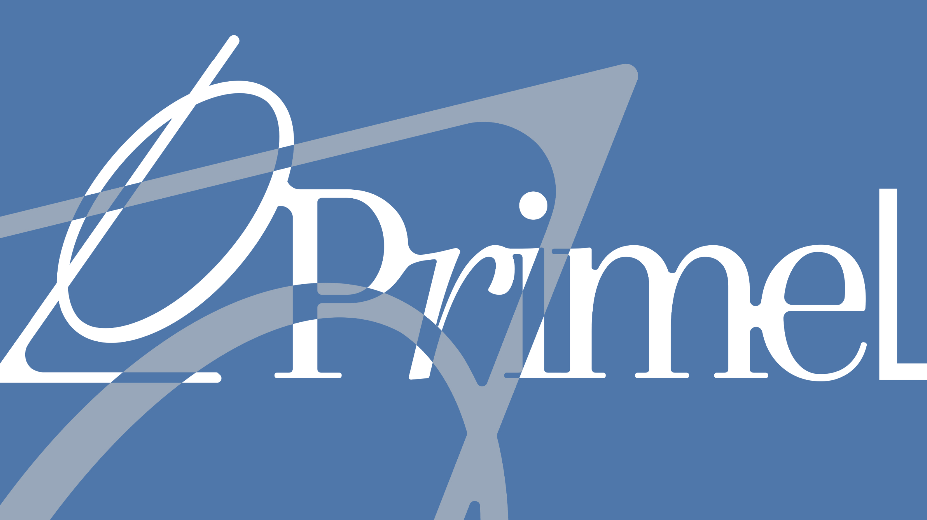 PrimeLink – финансовая компания — Изображение №4 — Брендинг на Dprofile
