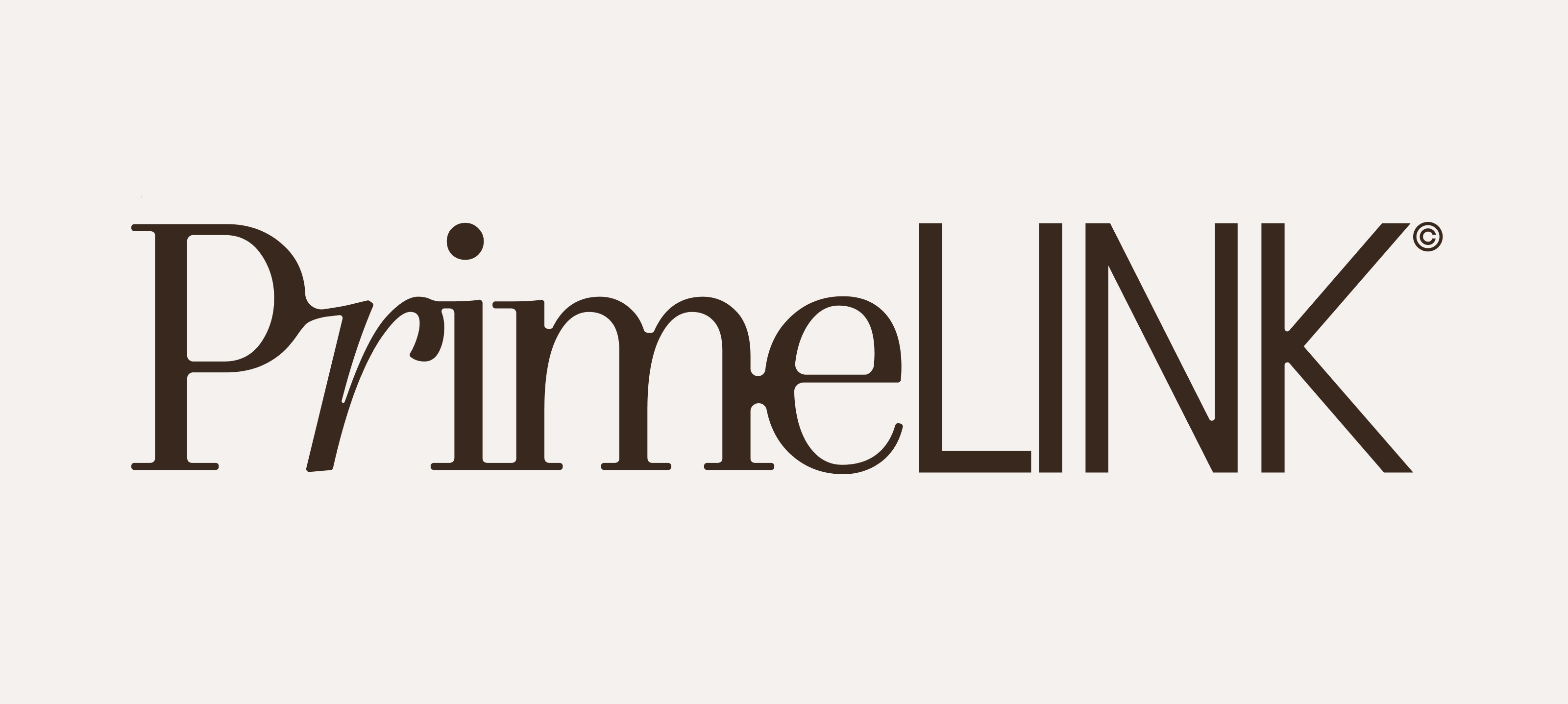 PrimeLink – финансовая компания — Изображение №10 — Брендинг на Dprofile