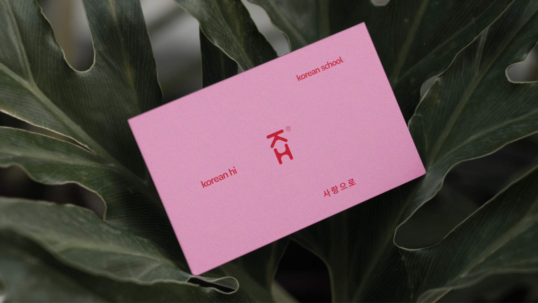 Kohi школа корейского языка — Изображение №5 — Брендинг на Dprofile
