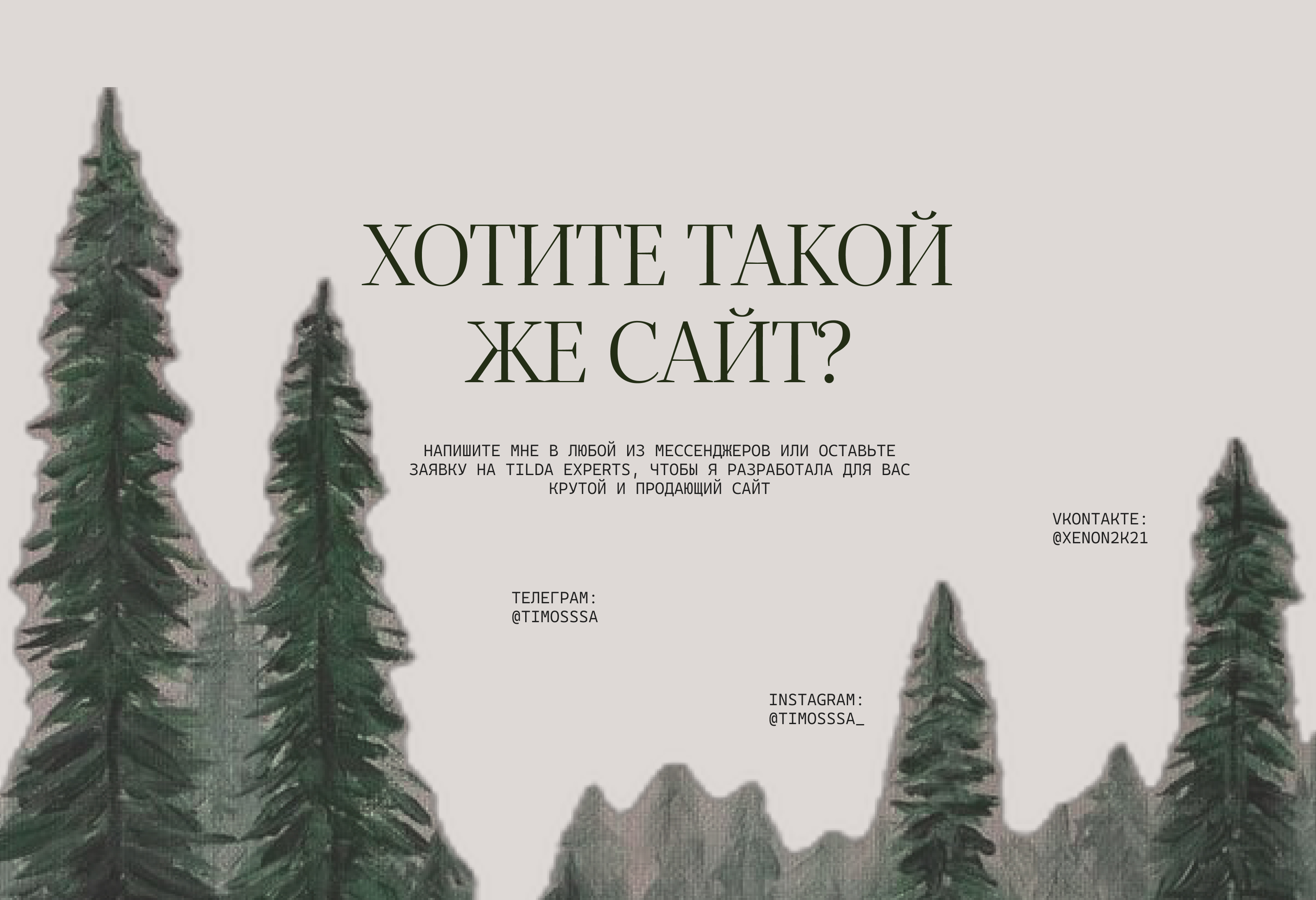 СИЛА ГОР - лендинг-визитка для Республики Алтай — Изображение №8 — Интерфейсы, Брендинг на Dprofile