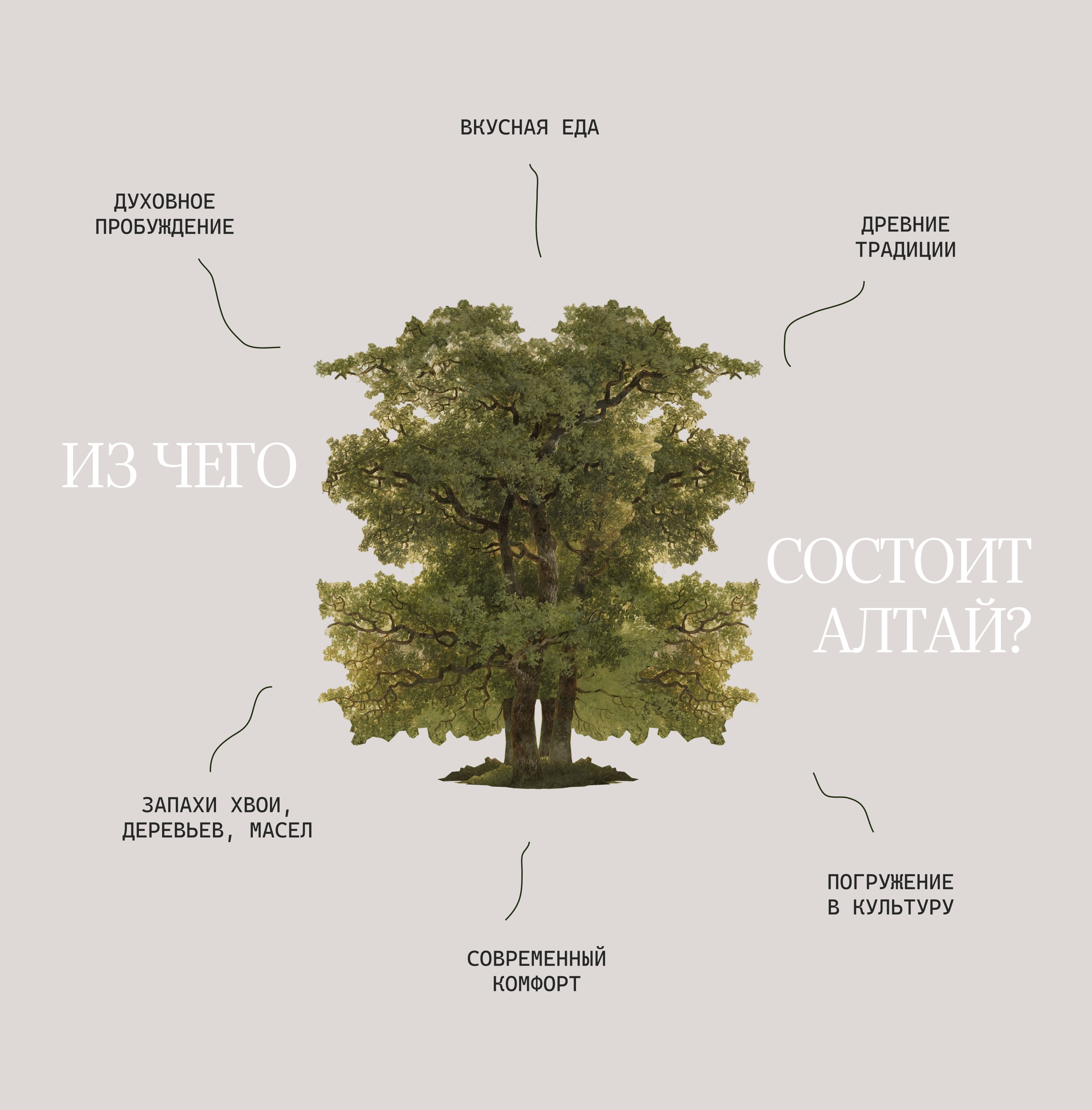 СИЛА ГОР - лендинг-визитка для Республики Алтай — Изображение №4 — Интерфейсы, Брендинг на Dprofile