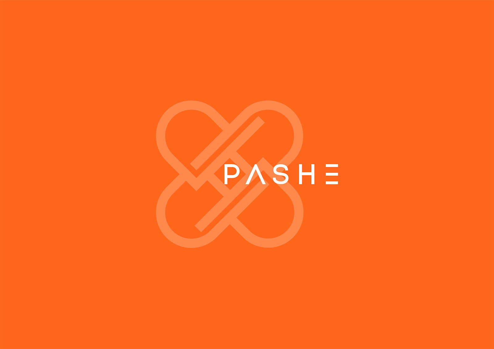 PASHE / Брендбук. Фирменный стиль. Логотип — Изображение №1 — Брендинг на Dprofile