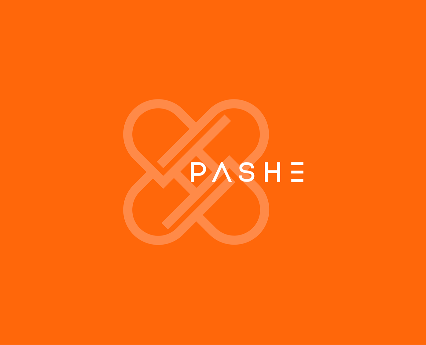 PASHE / Брендбук. Фирменный стиль. Логотип — Брендинг на Dprofile