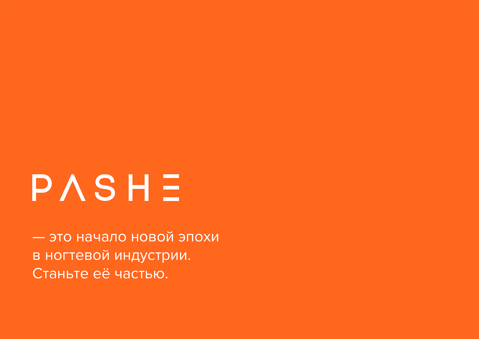 PASHE / Брендбук. Фирменный стиль. Логотип — Изображение №2 — Брендинг на Dprofile