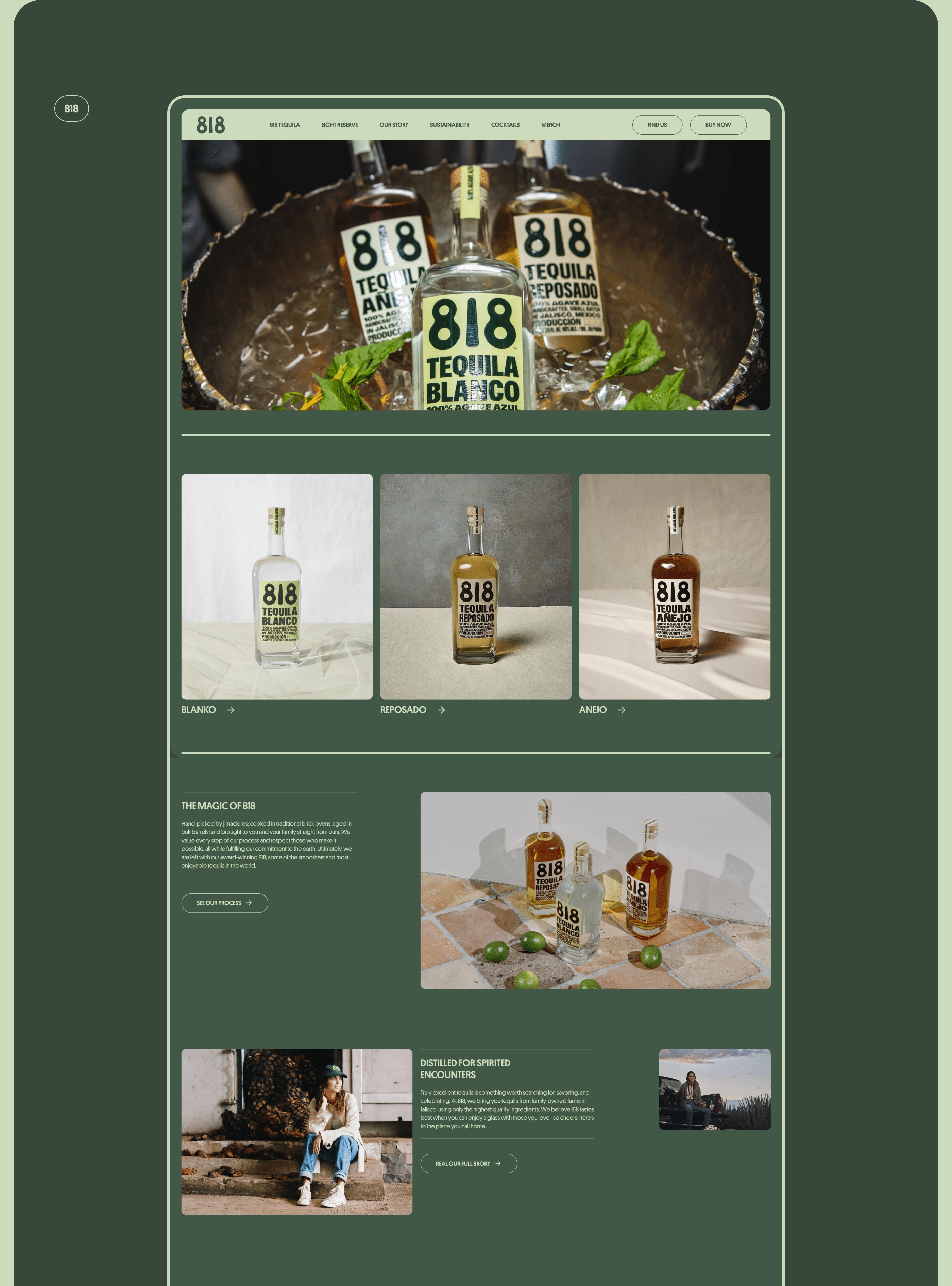 818 tequila — Изображение №11 — Интерфейсы, Брендинг на Dprofile