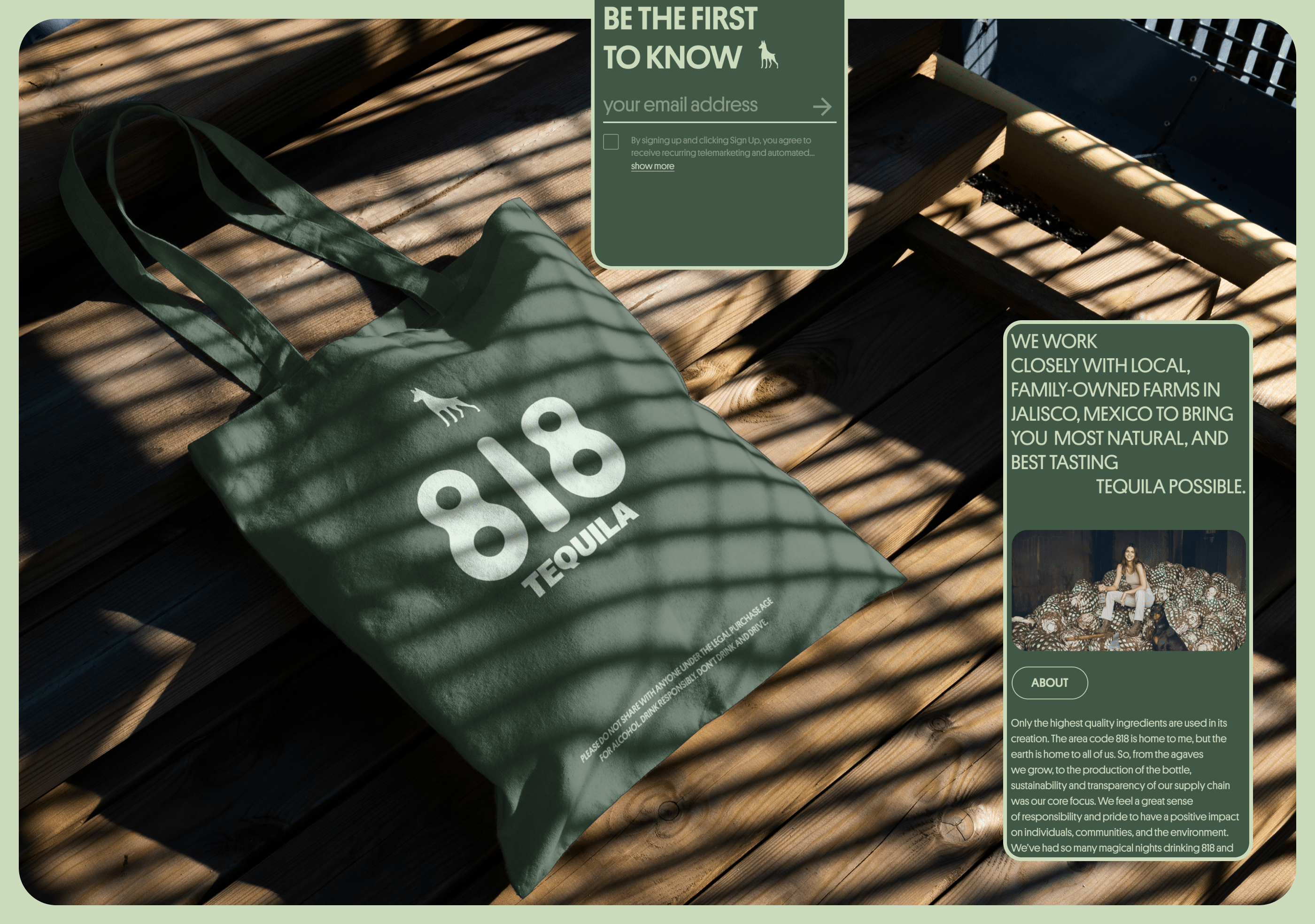 818 tequila — Изображение №6 — Интерфейсы, Брендинг на Dprofile