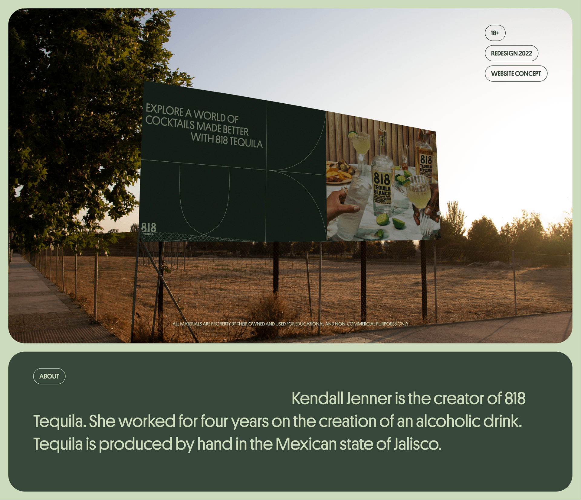 818 tequila — Изображение №1 — Интерфейсы, Брендинг на Dprofile