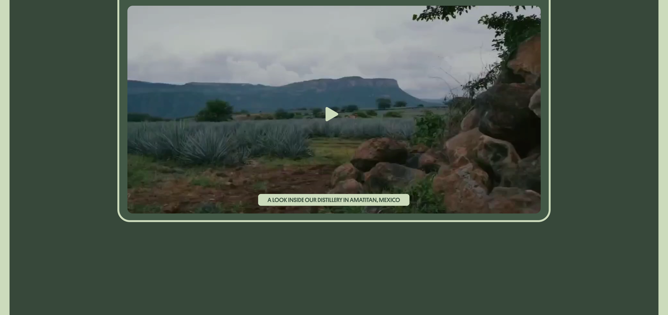 818 tequila — Изображение №12 — Интерфейсы, Брендинг на Dprofile