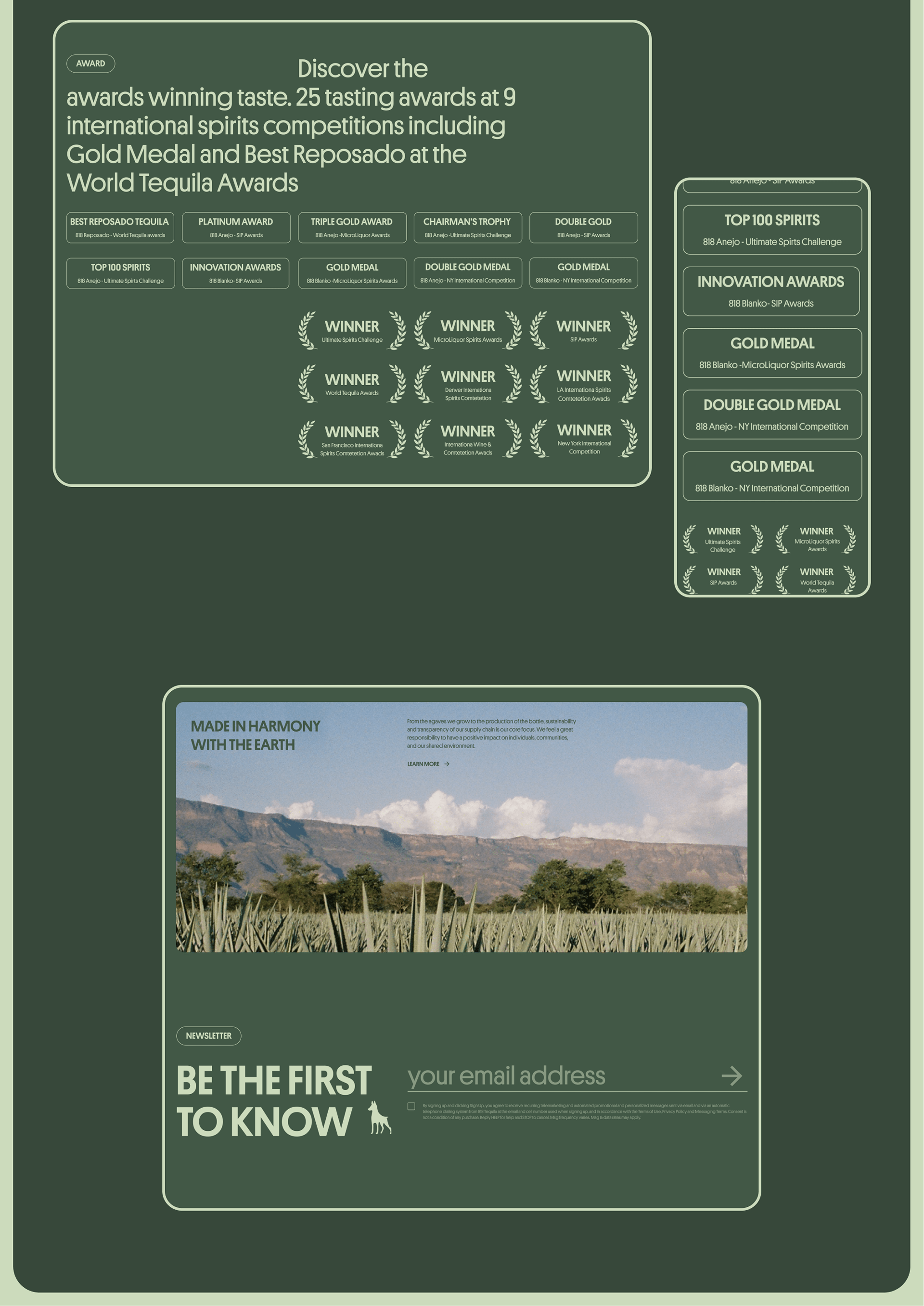 818 tequila — Изображение №13 — Интерфейсы, Брендинг на Dprofile