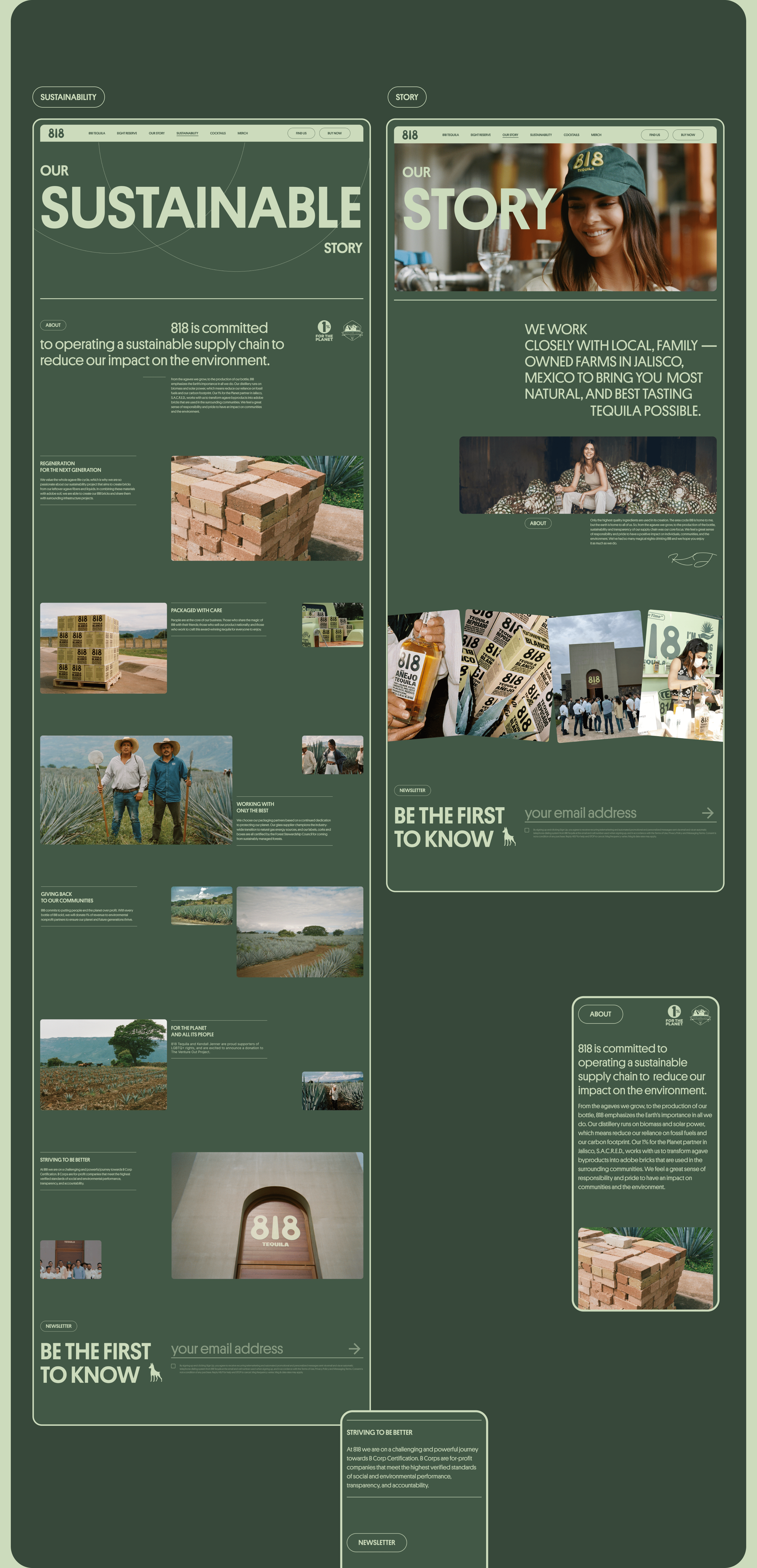 818 tequila — Изображение №5 — Интерфейсы, Брендинг на Dprofile