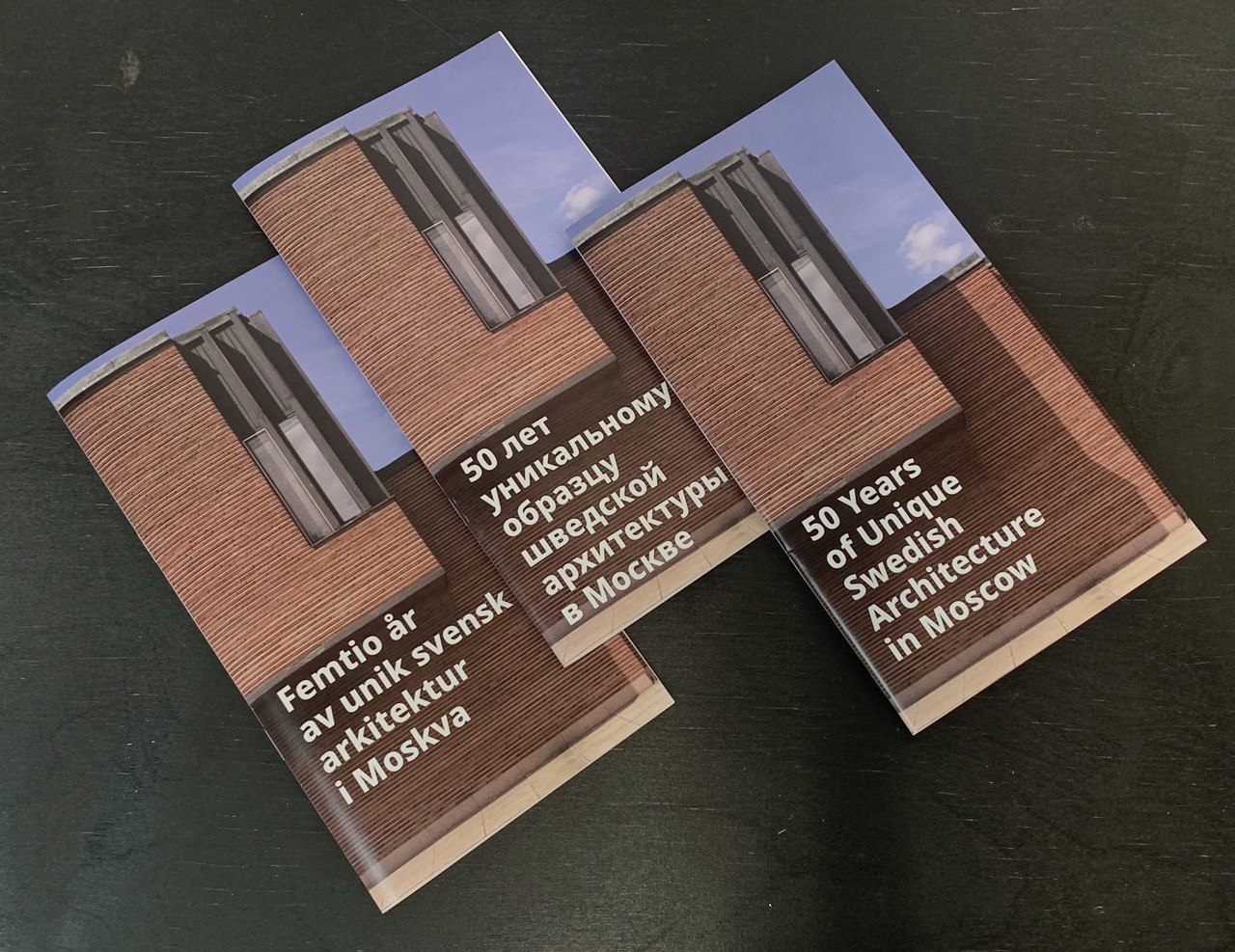 Буклеты для Шведского посольства — Изображение №1 — Графика на Dprofile