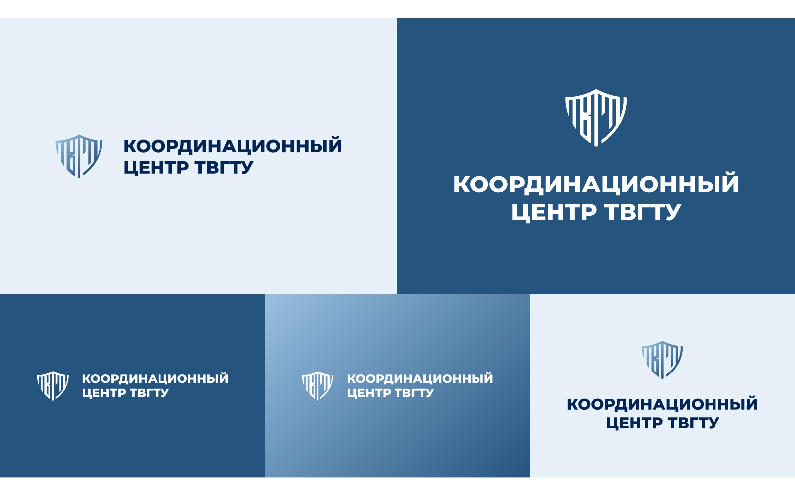 Разработка логотипа для координационного центра — Изображение №8 — Брендинг на Dprofile