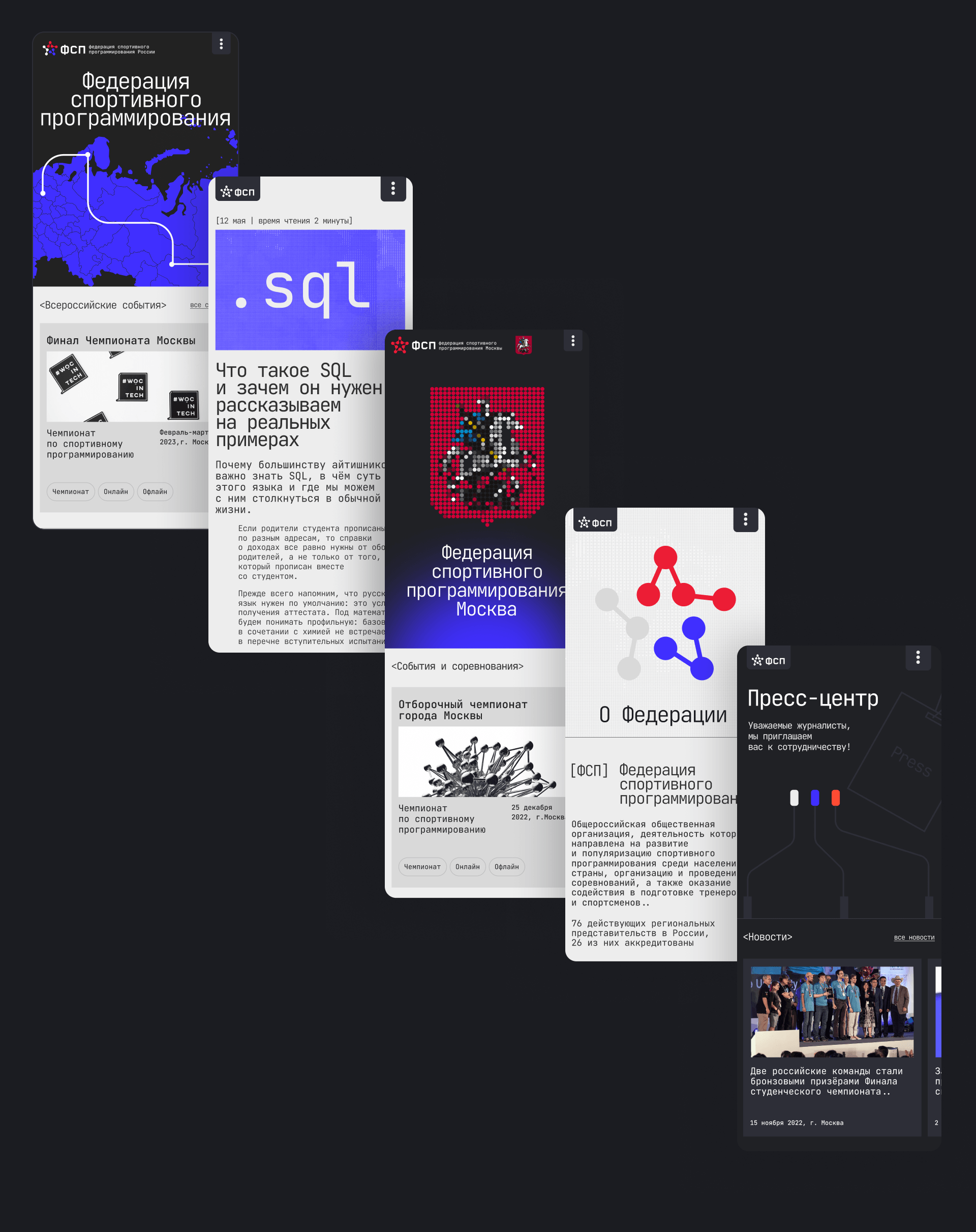 Федерация спортивного программирования — Изображение №5 — Брендинг, Интерфейсы на Dprofile