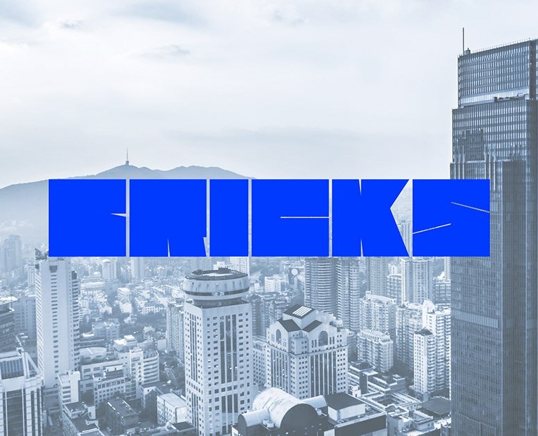 BRICKS — brand identity — Брендинг на Dprofile