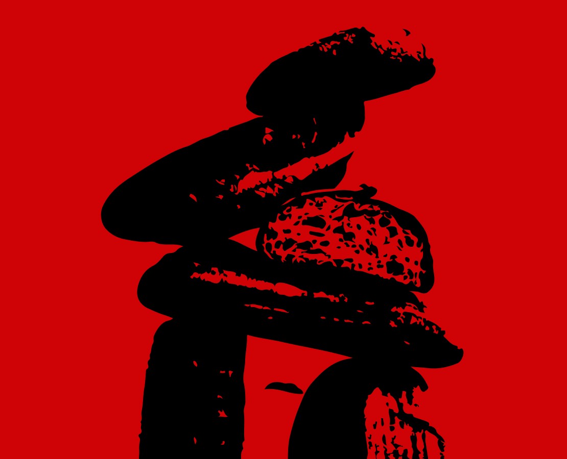 Книга «Все, что нужно знать о хлебе» — Графика на Dprofile