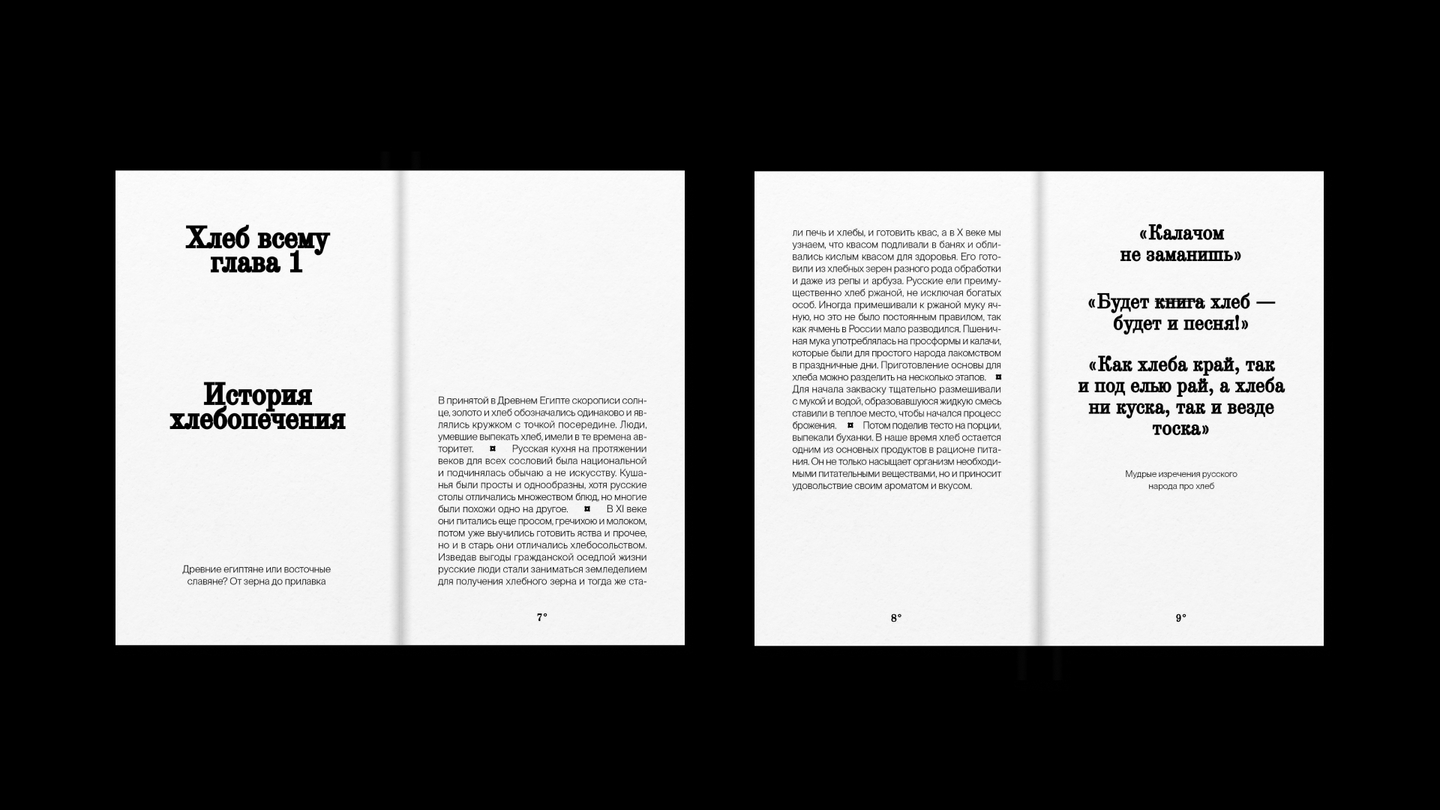 Книга «Все, что нужно знать о хлебе» — Изображение №5 — Графика на Dprofile