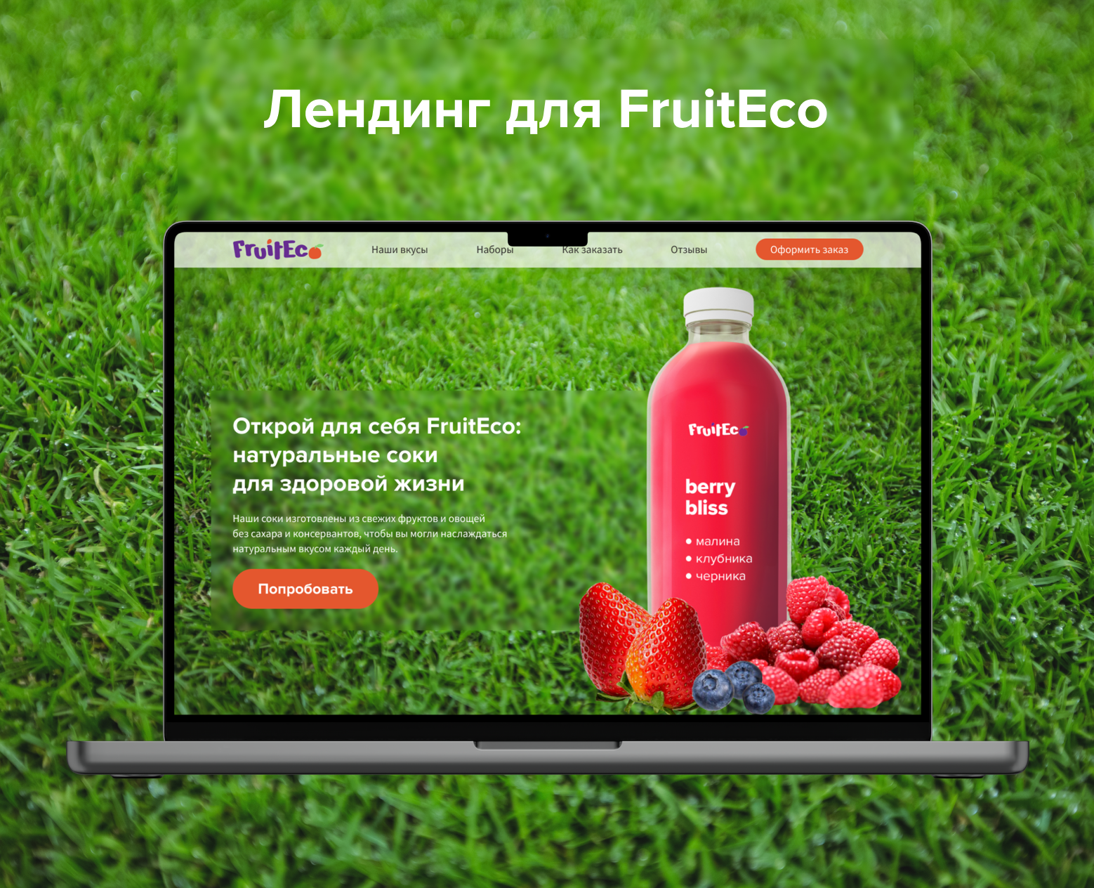 Лендинг для FruitEco — Интерфейсы, Брендинг на Dprofile