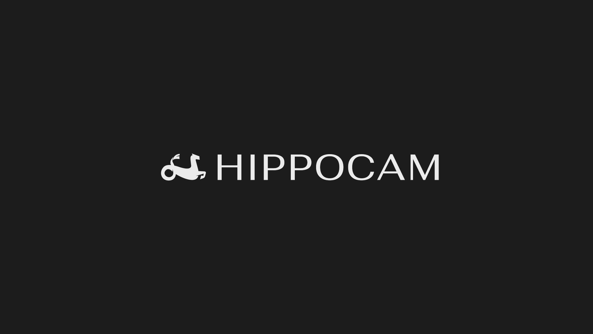 Logofolio | 2024 — Изображение №12 — Брендинг на Dprofile