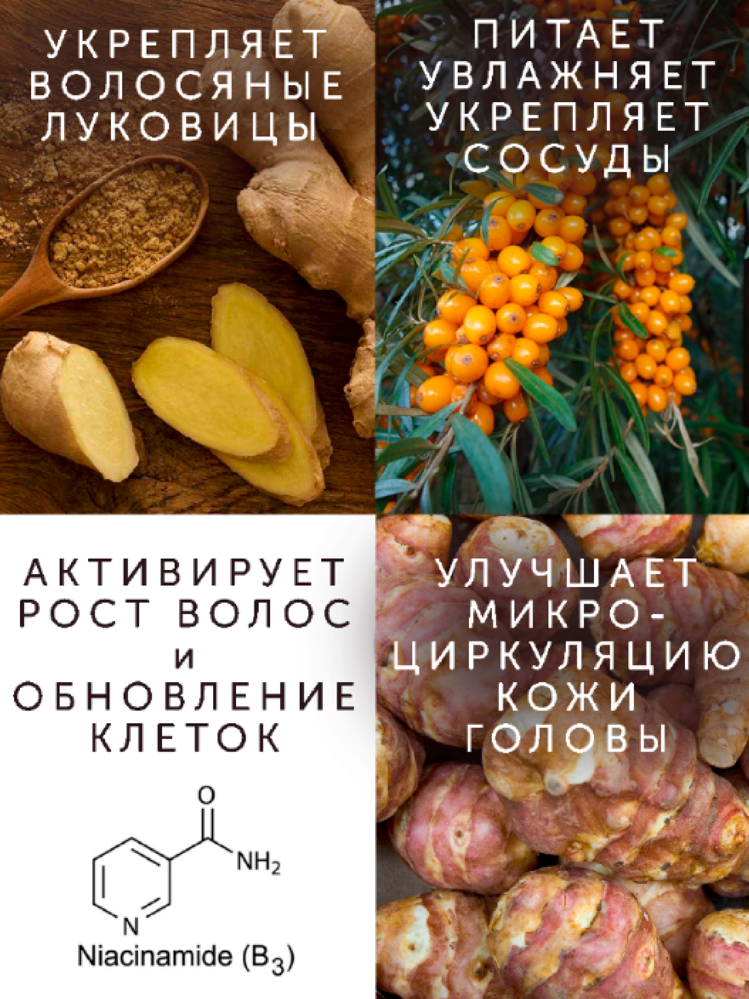 Карточка товара для шампуня (тестовое задание) — Изображение №2 — Брендинг, Графика на Dprofile