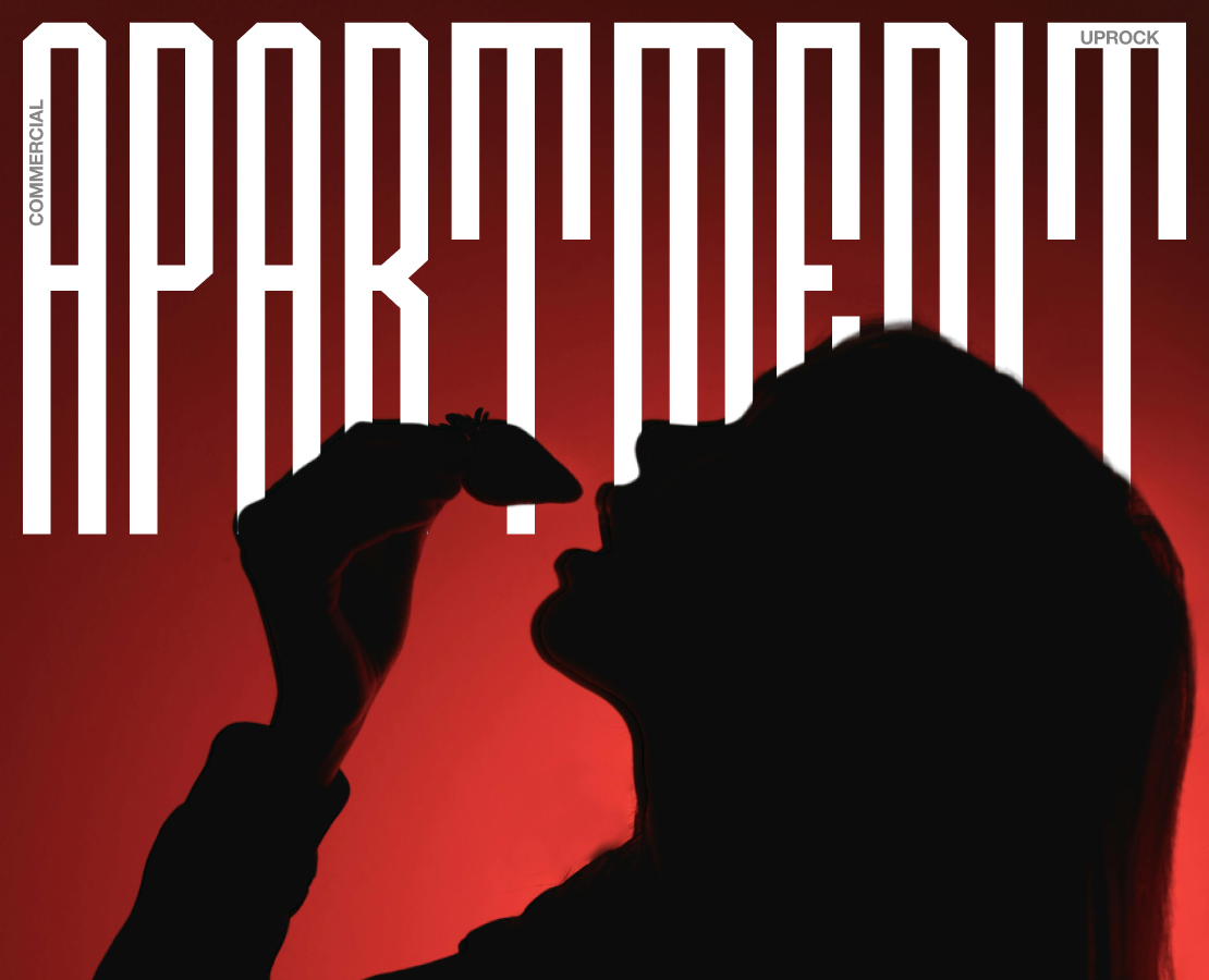 APARTMENT | Коммерческий проект — Интерфейсы на Dprofile