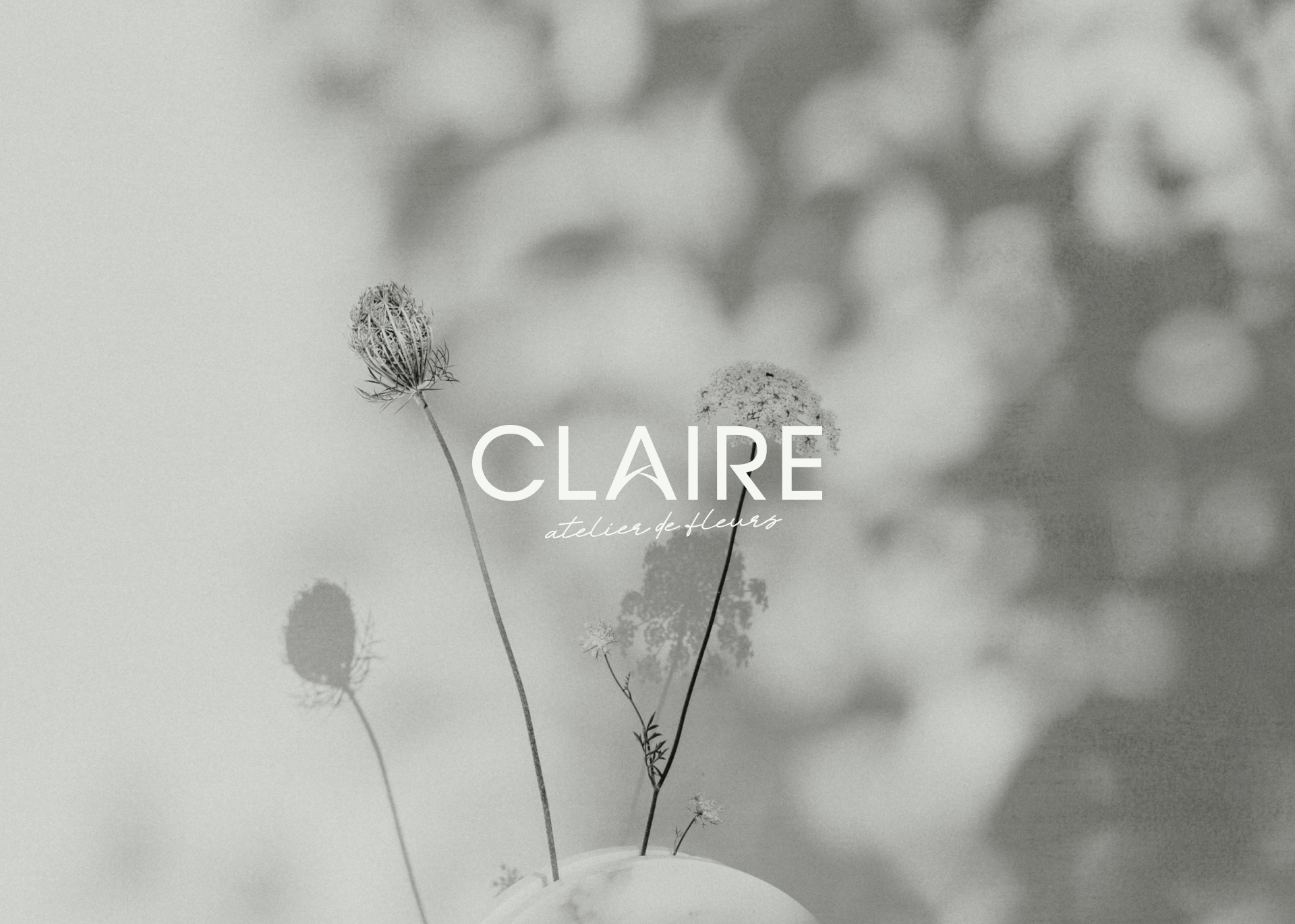 CLAIRE• айдентика цветочной студии — Изображение №1 — Брендинг на Dprofile