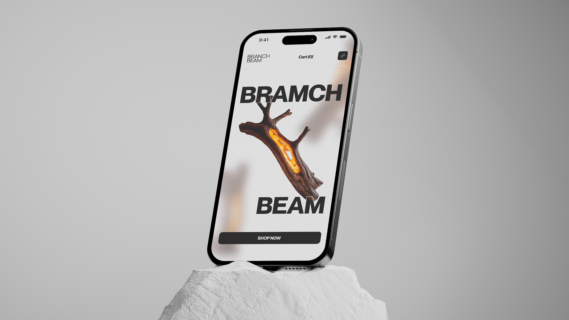 BRAMCH&BEAM | E-commerce — Изображение №10 — Интерфейсы на Dprofile