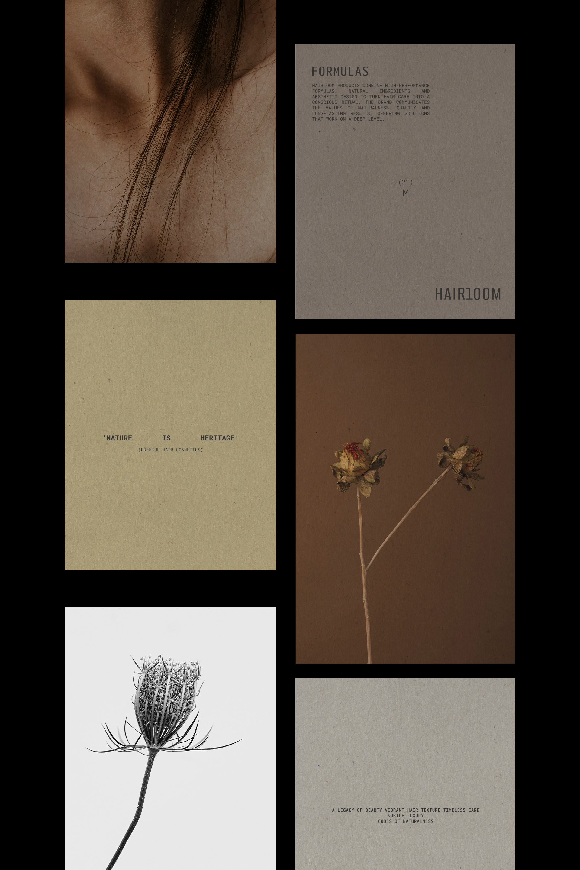 HAIRLOOM — Изображение №9 — Брендинг, Графика на Dprofile